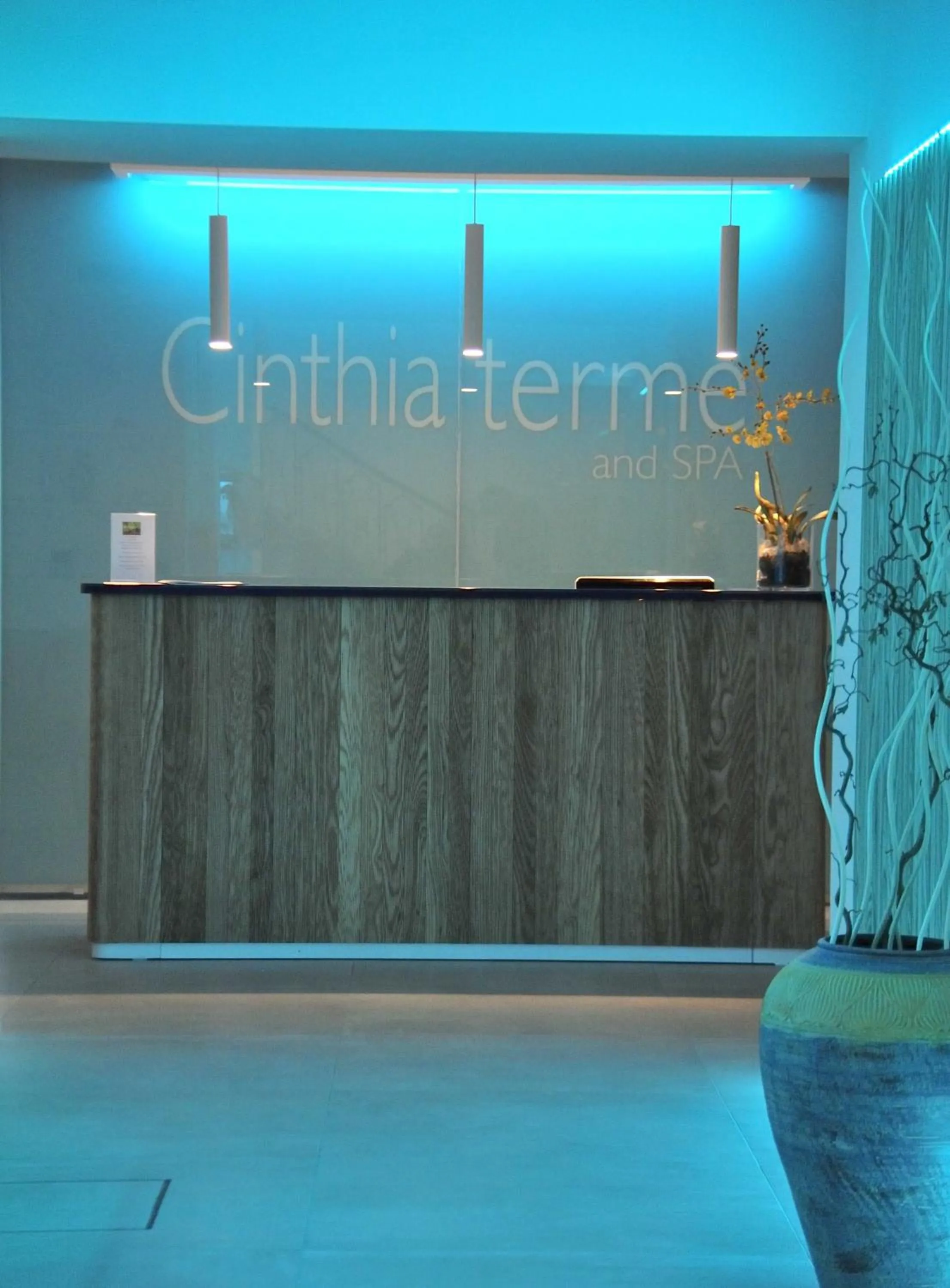 Hot Spring Bath in Hermitage Resort & Thermal Spa