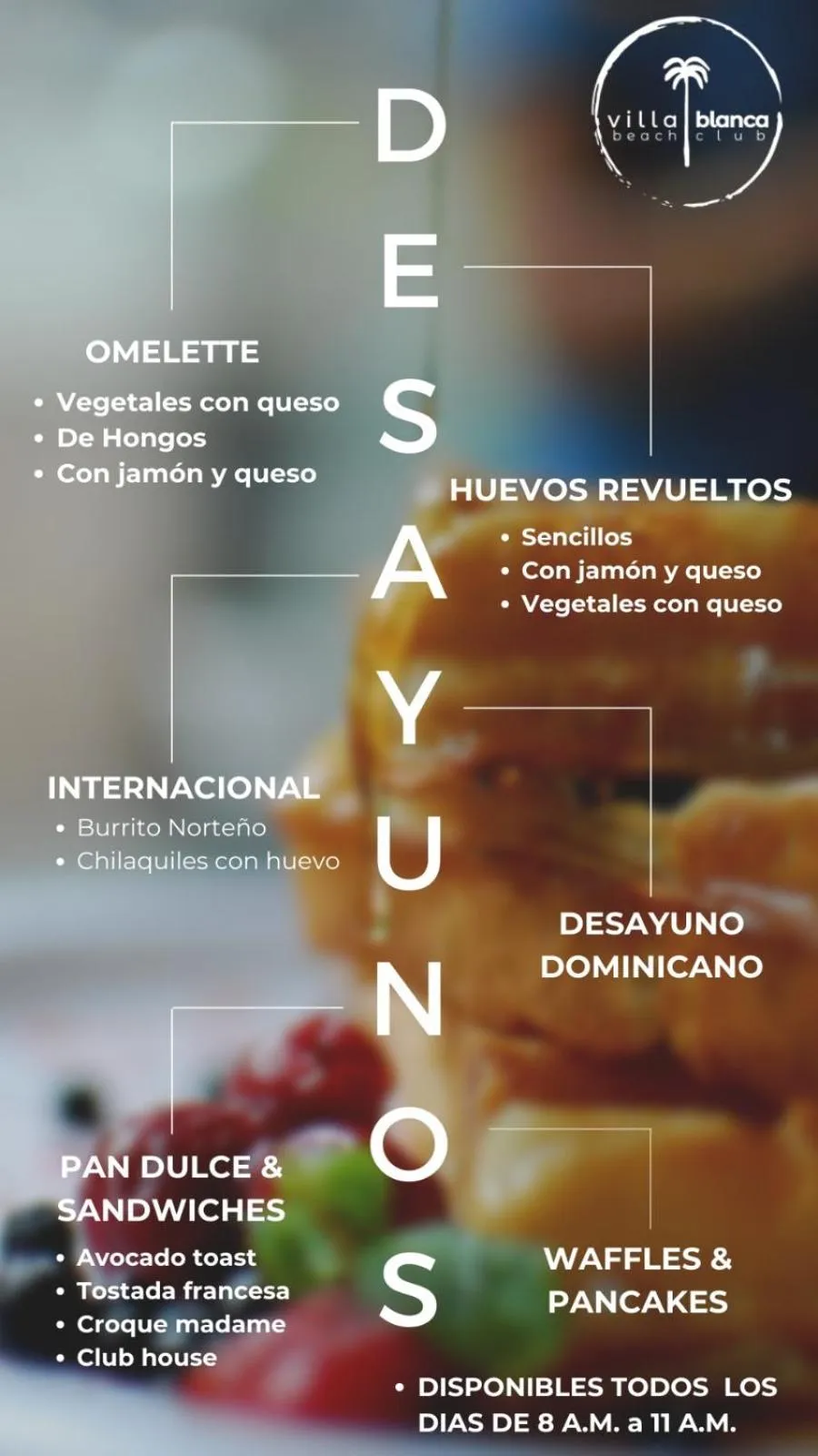 Food and drinks in Villa Blanca Beach Club