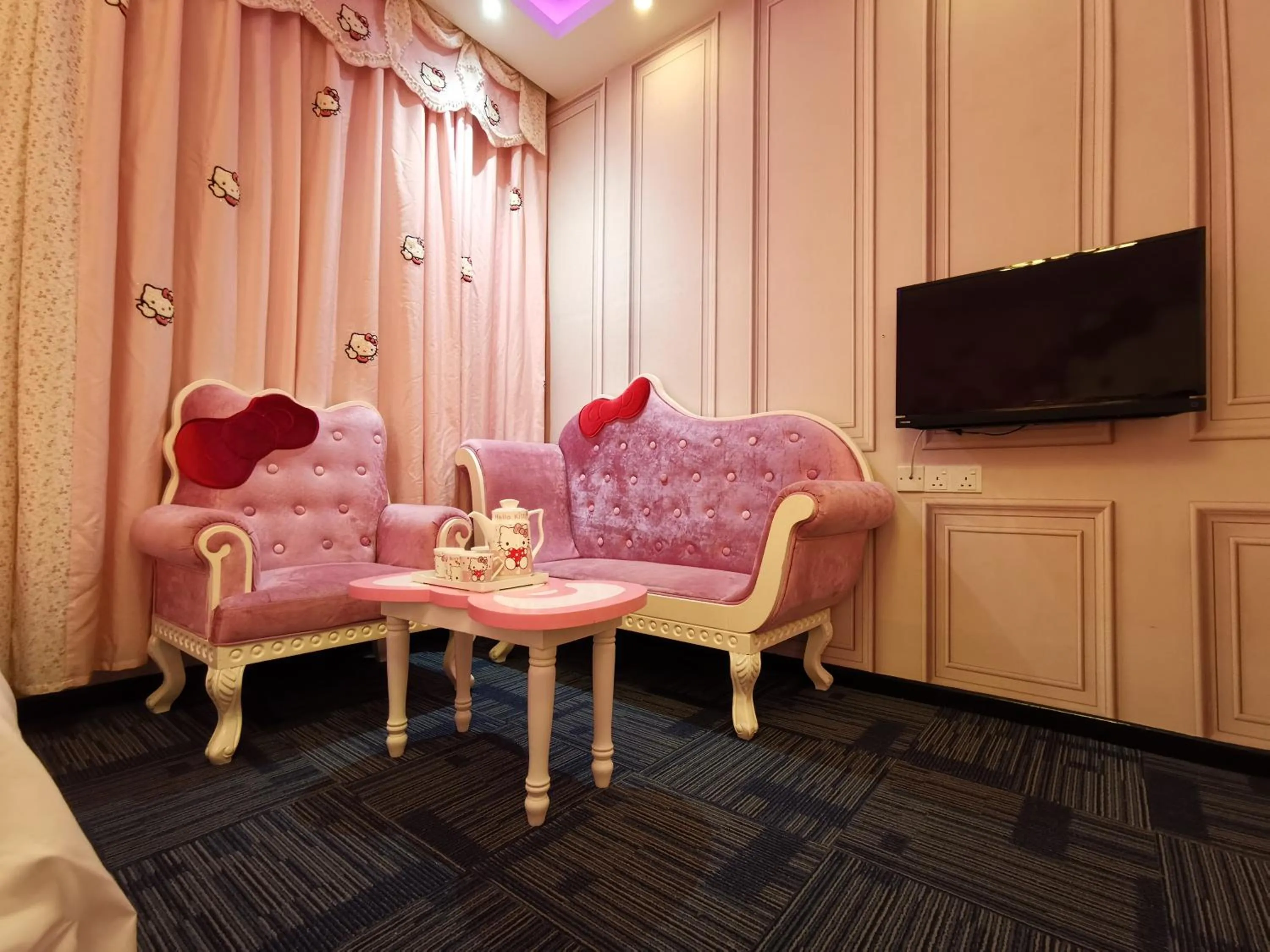 TV and multimedia in D'sney Guest House