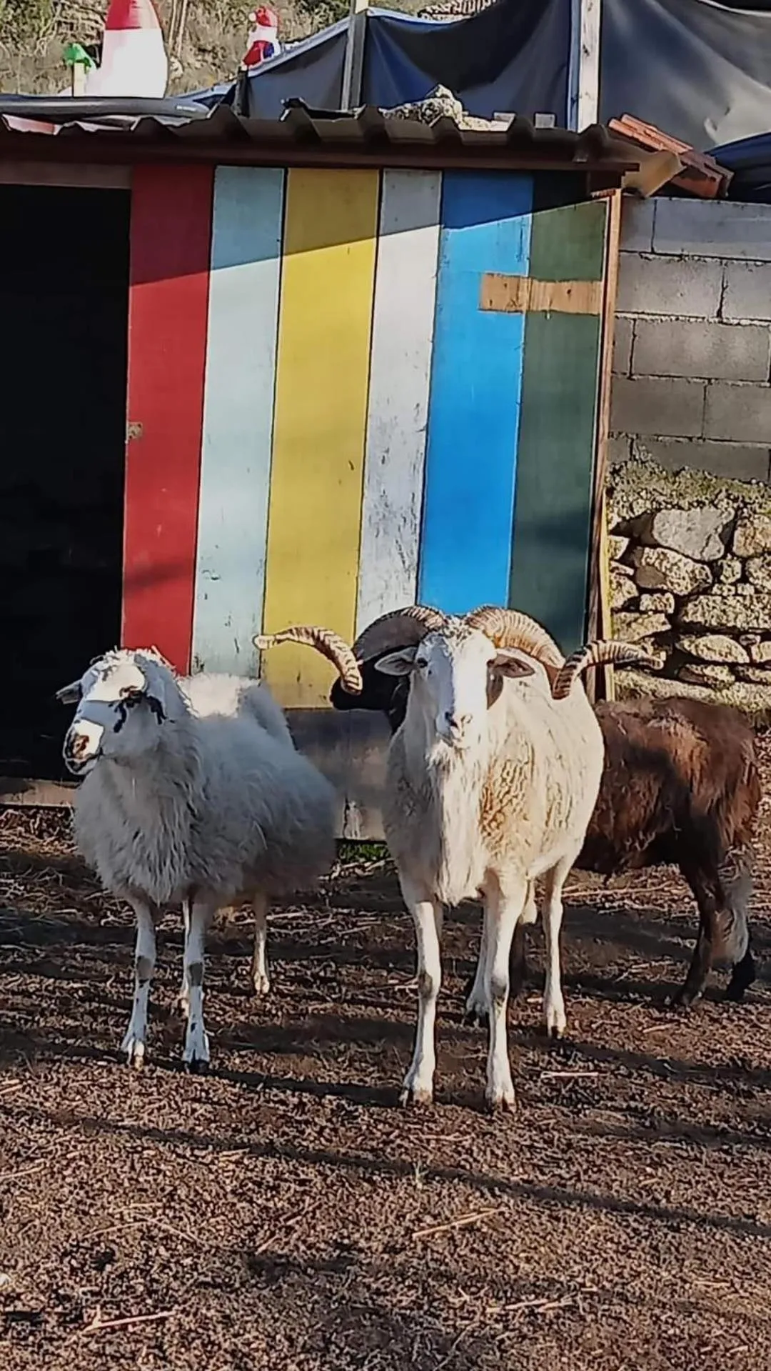 Day in Gojim Casa Rural