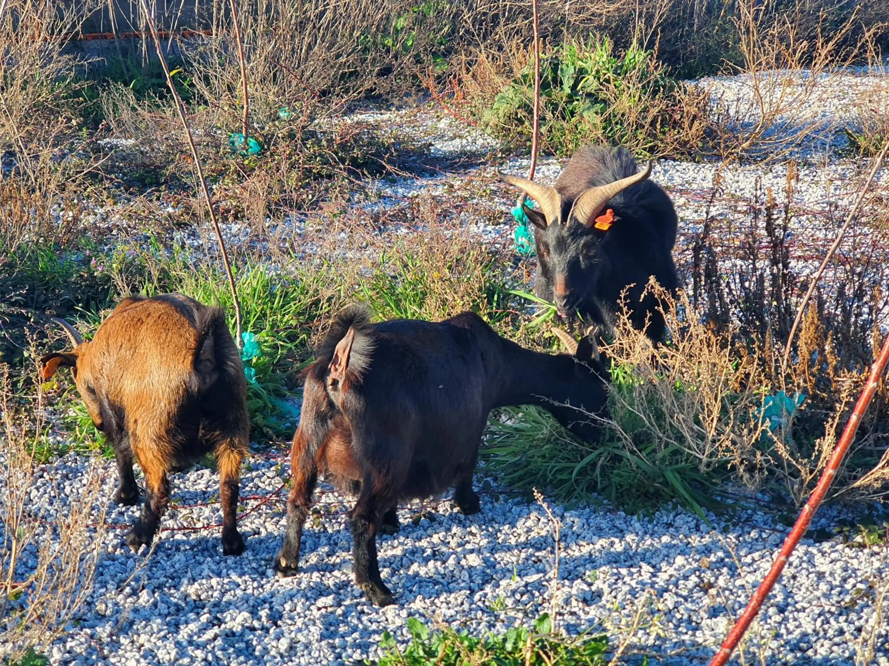 Day in Gojim Casa Rural