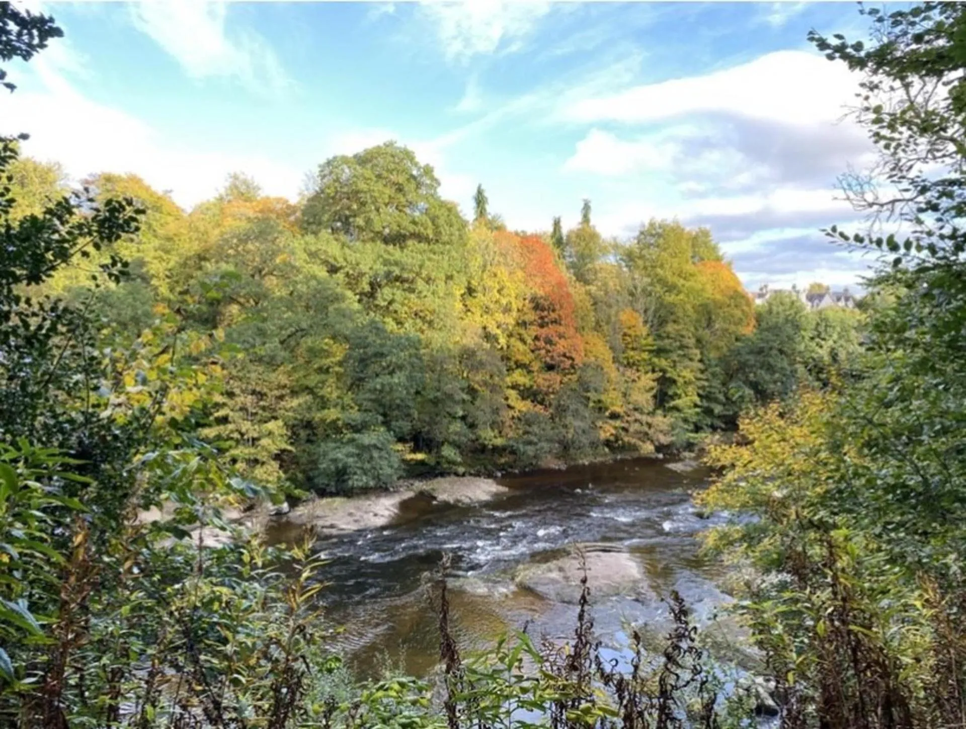 Natural landscape in Blairgowrie Luxury 3 Bed Lodge with Hot Tub