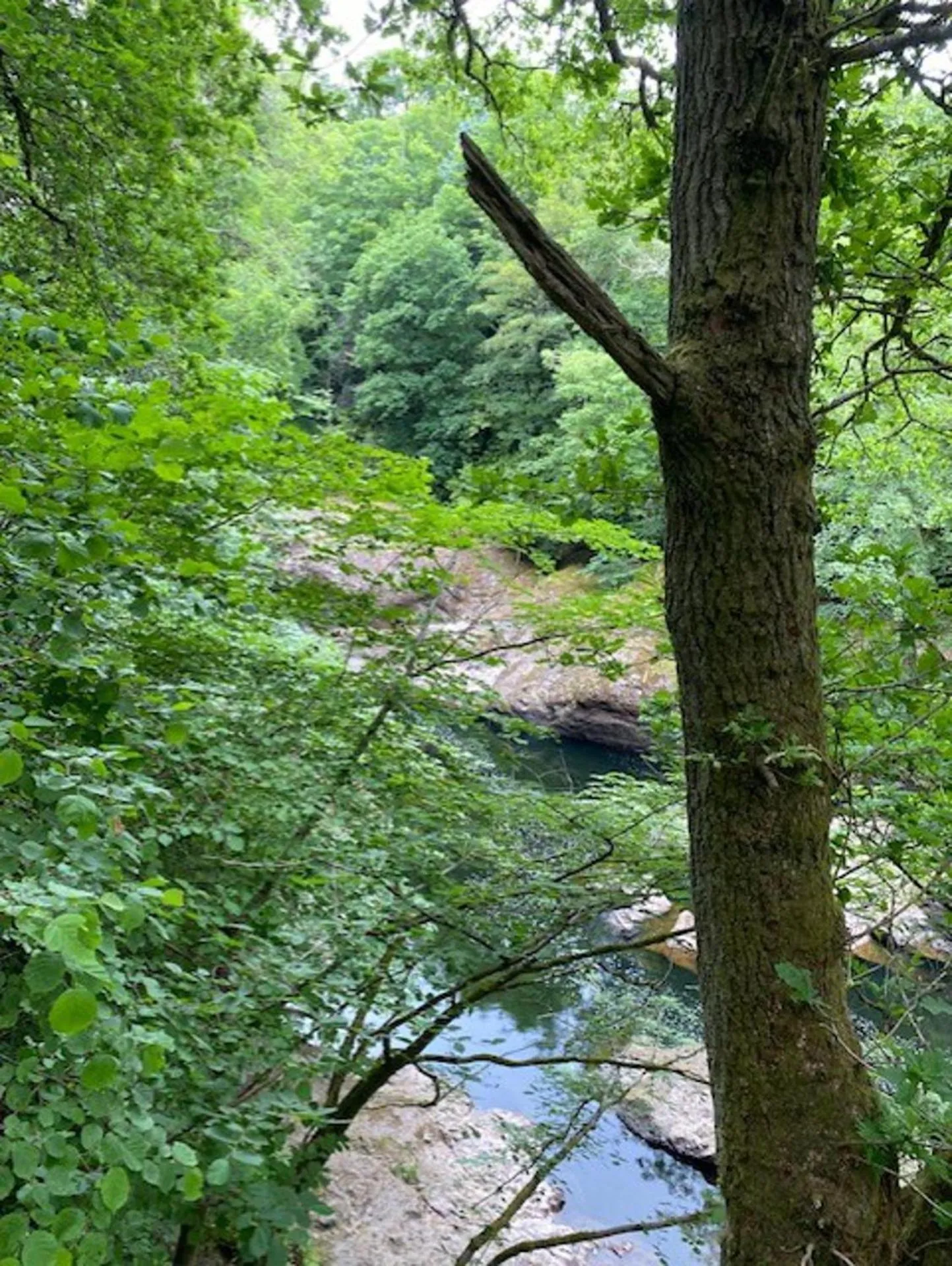 Natural landscape in Blairgowrie Luxury 3 Bed Lodge with Hot Tub
