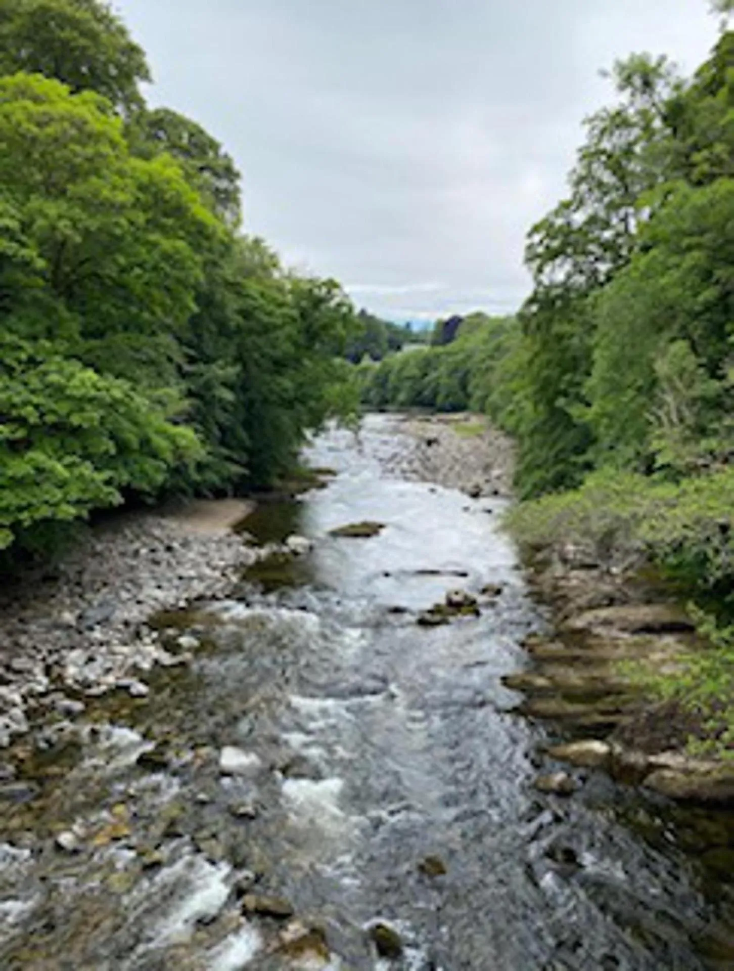 Natural landscape in Blairgowrie Luxury 3 Bed Lodge with Hot Tub