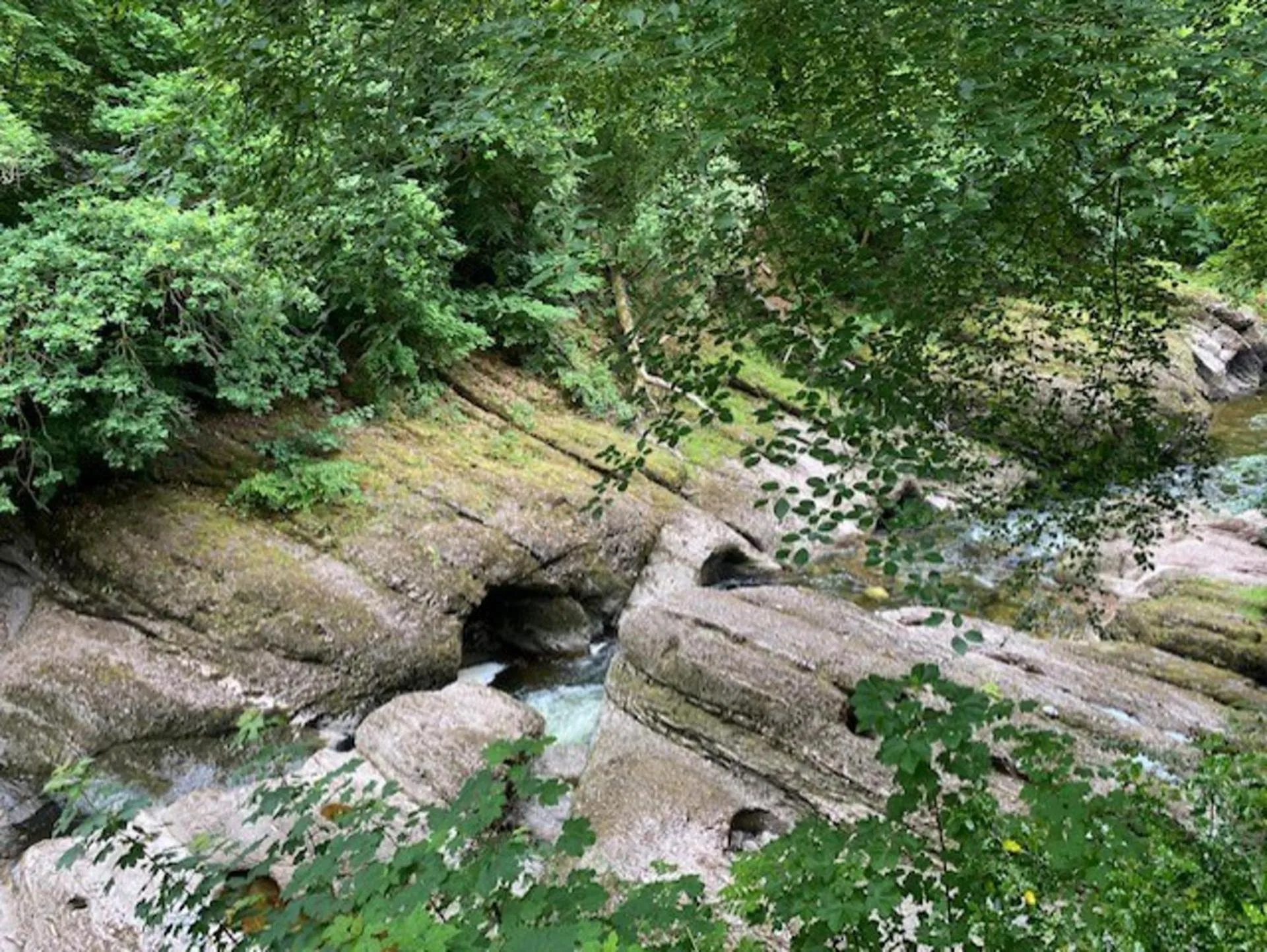 Natural landscape in Blairgowrie Luxury 3 Bed Lodge with Hot Tub