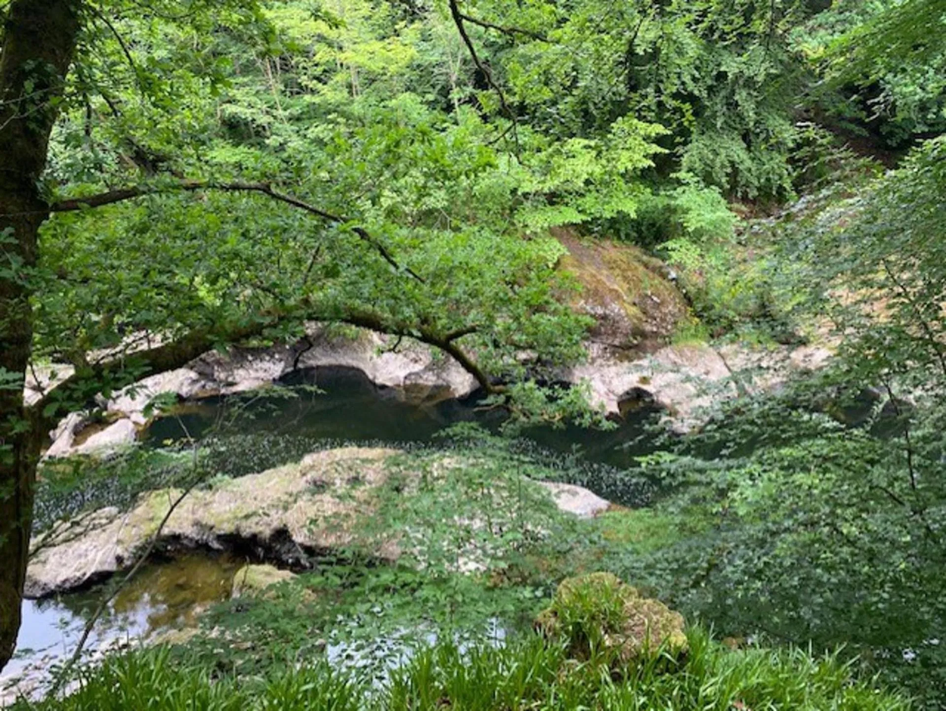 Natural landscape in Blairgowrie Luxury 3 Bed Lodge with Hot Tub