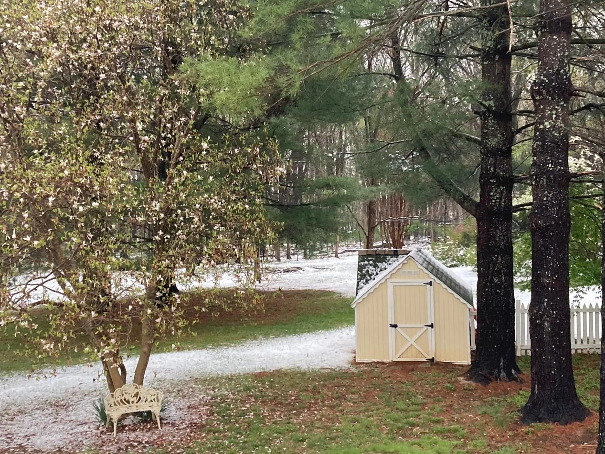 Natural landscape in Purcellville Home