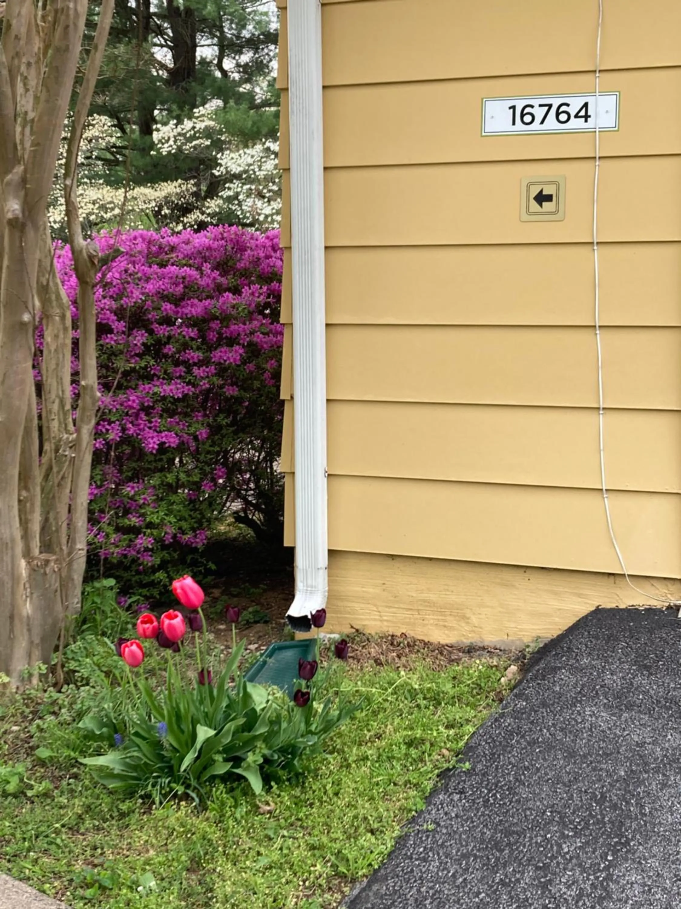 Property building in Purcellville Home