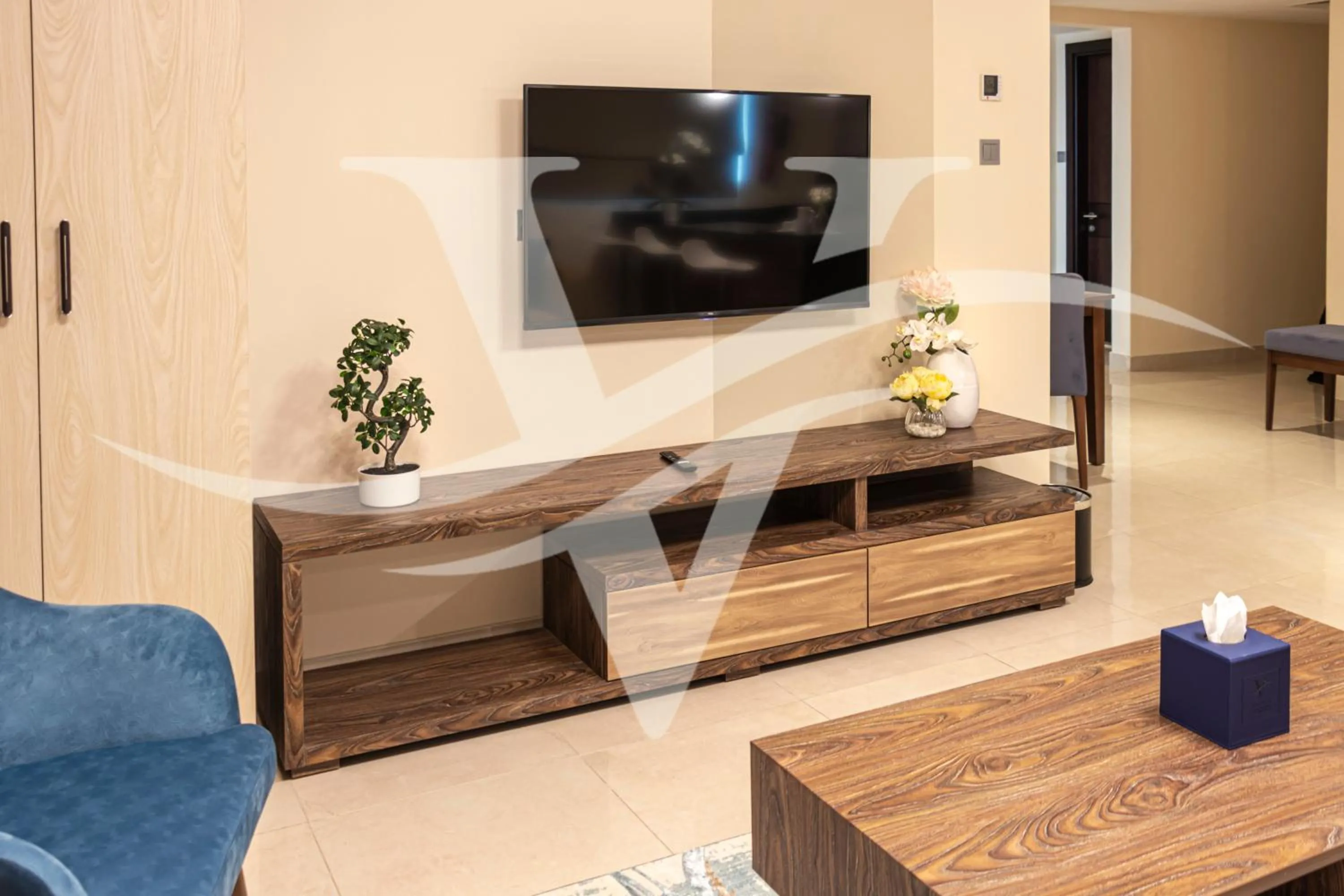 TV and multimedia in Viola Hotel Apartments