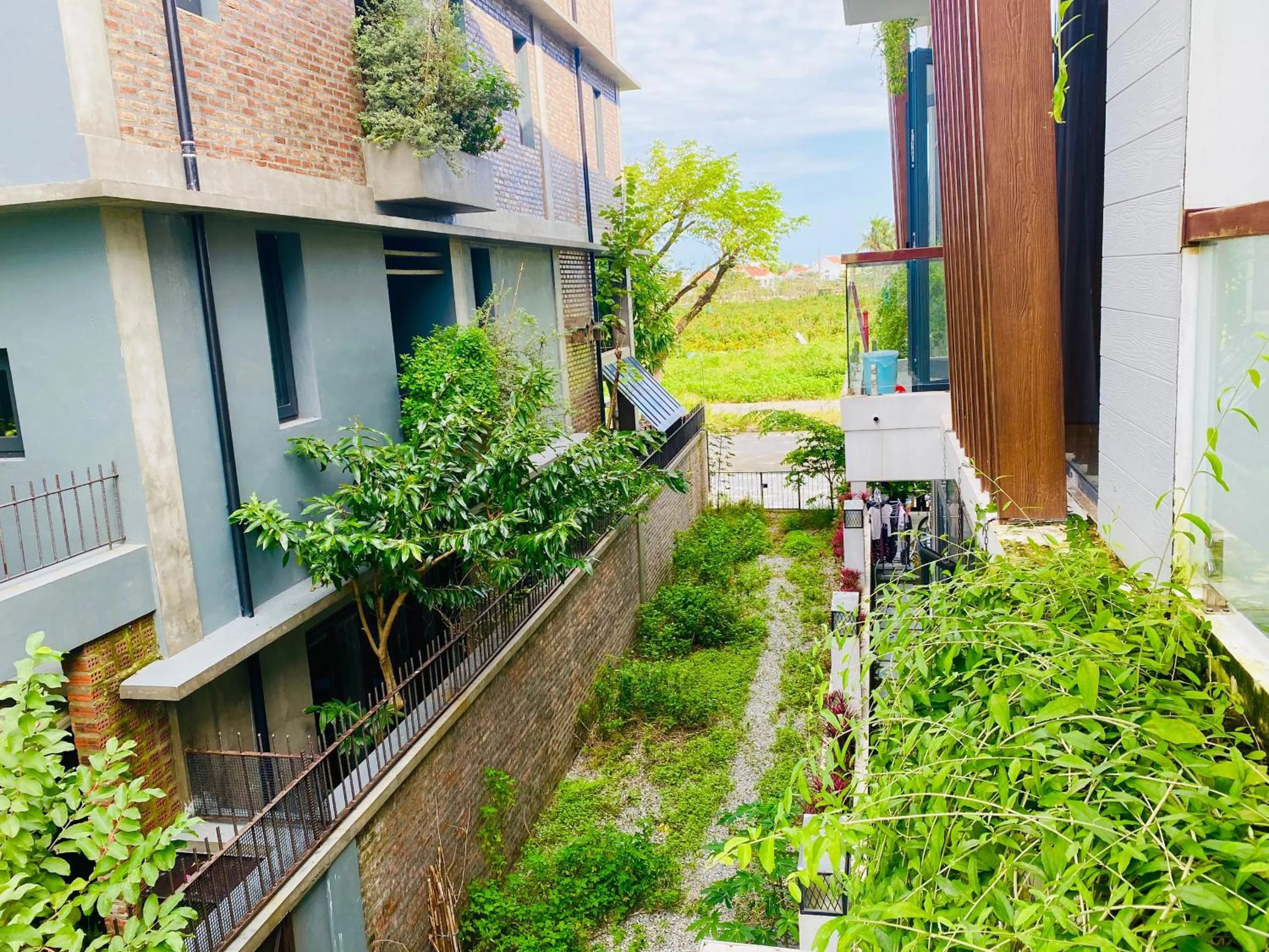 Garden in Cloudy Homestay Hoi An
