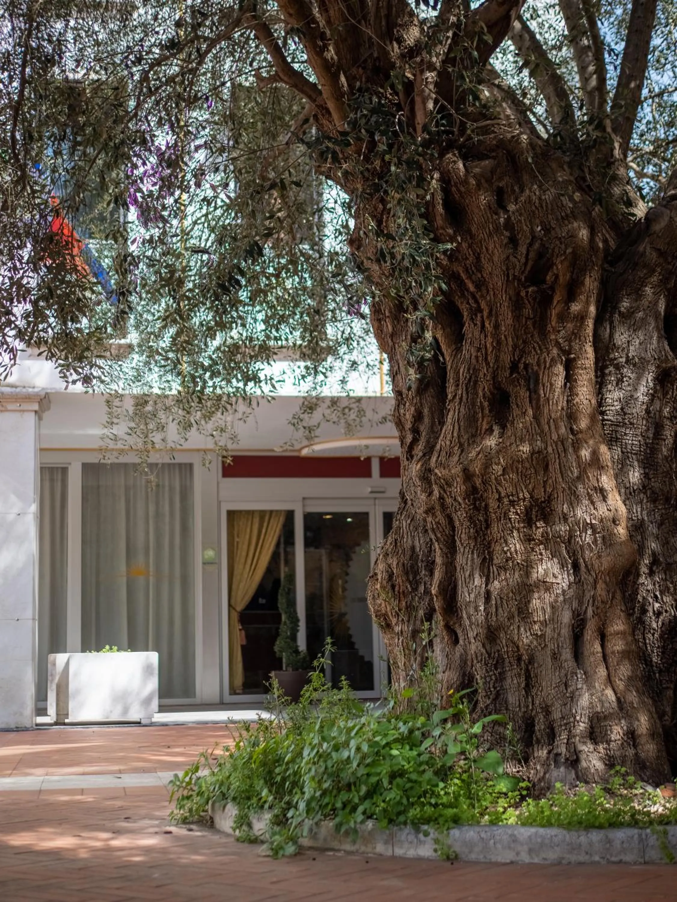 EGO' Residence Ferrara