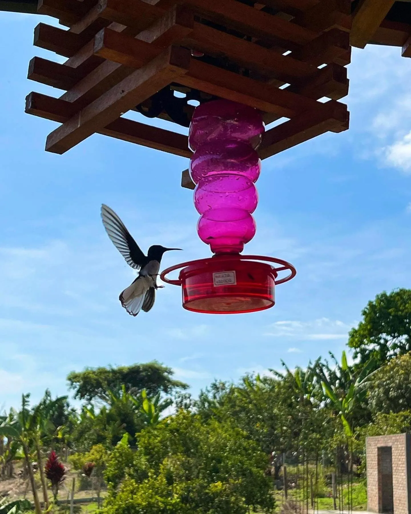 Activities in Hotel Casa campestre HH