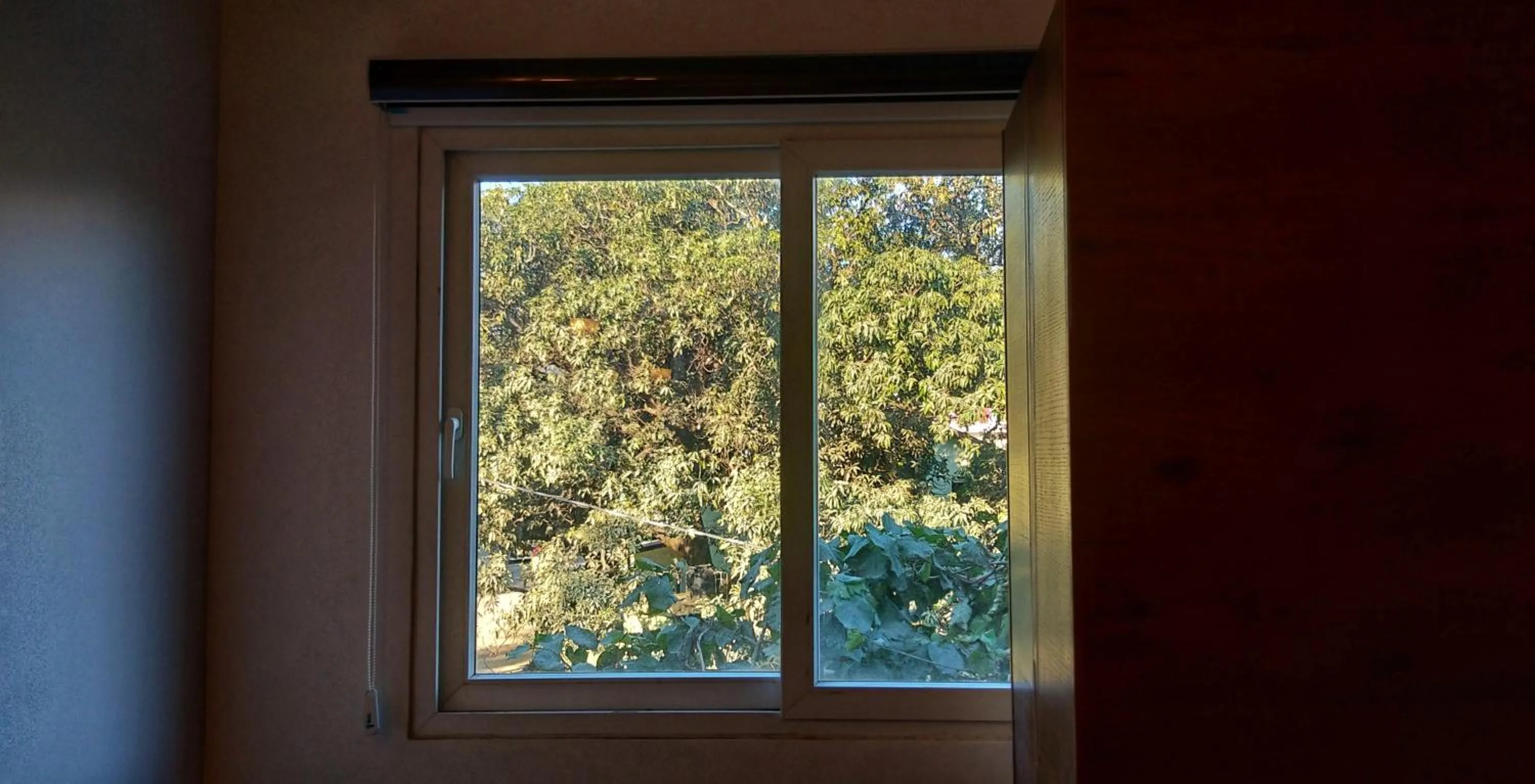 Garden view in Iris Lite Corbett