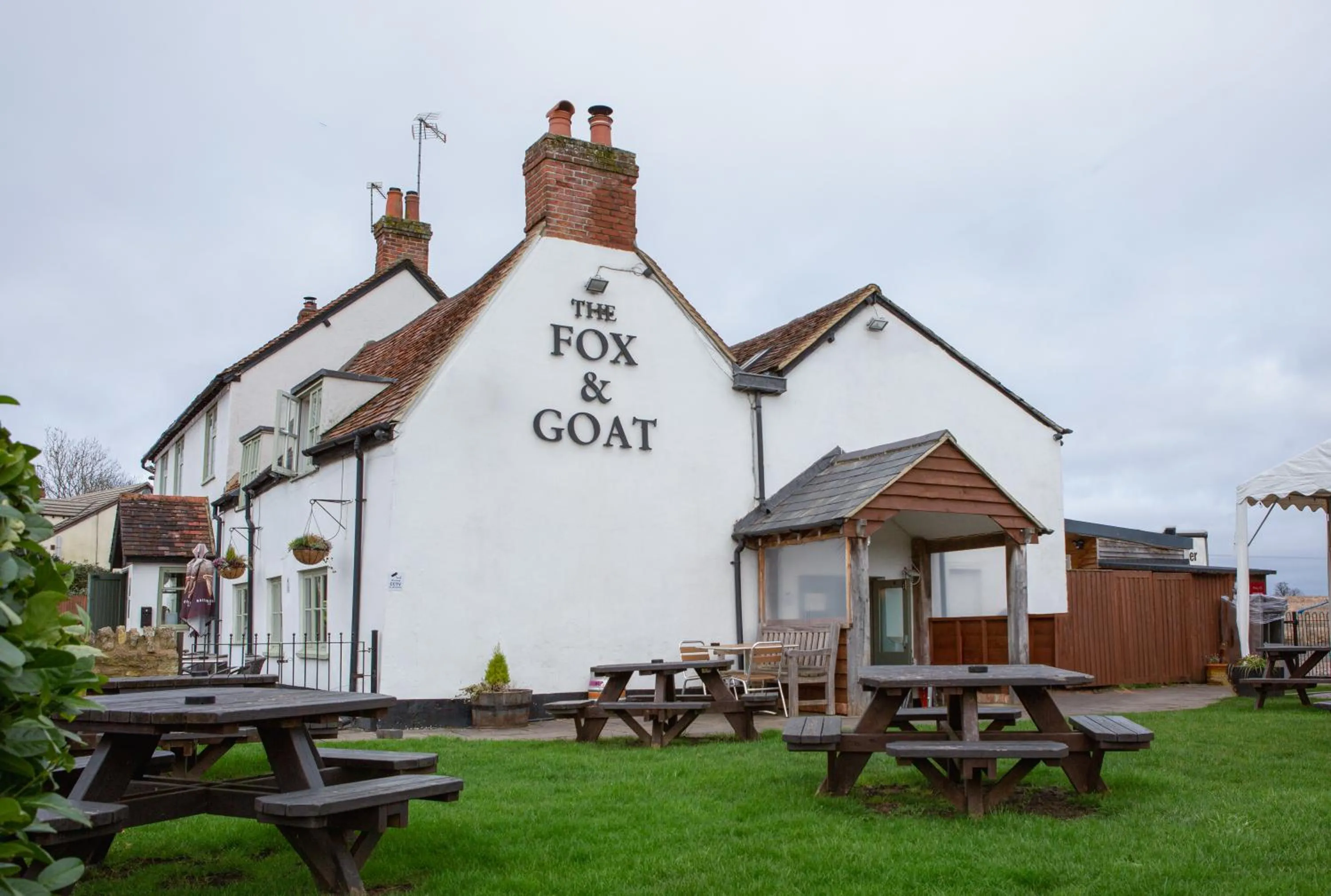 Fox and Goat