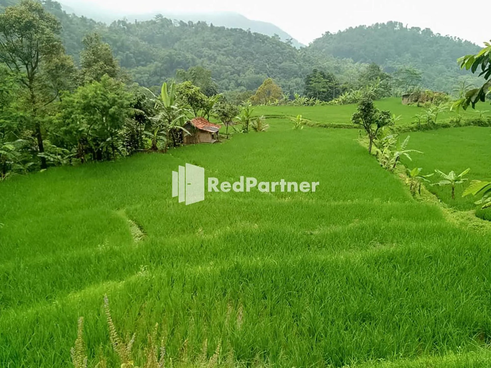 Property building in De Salak Homestay Gunung Salak RedPartner