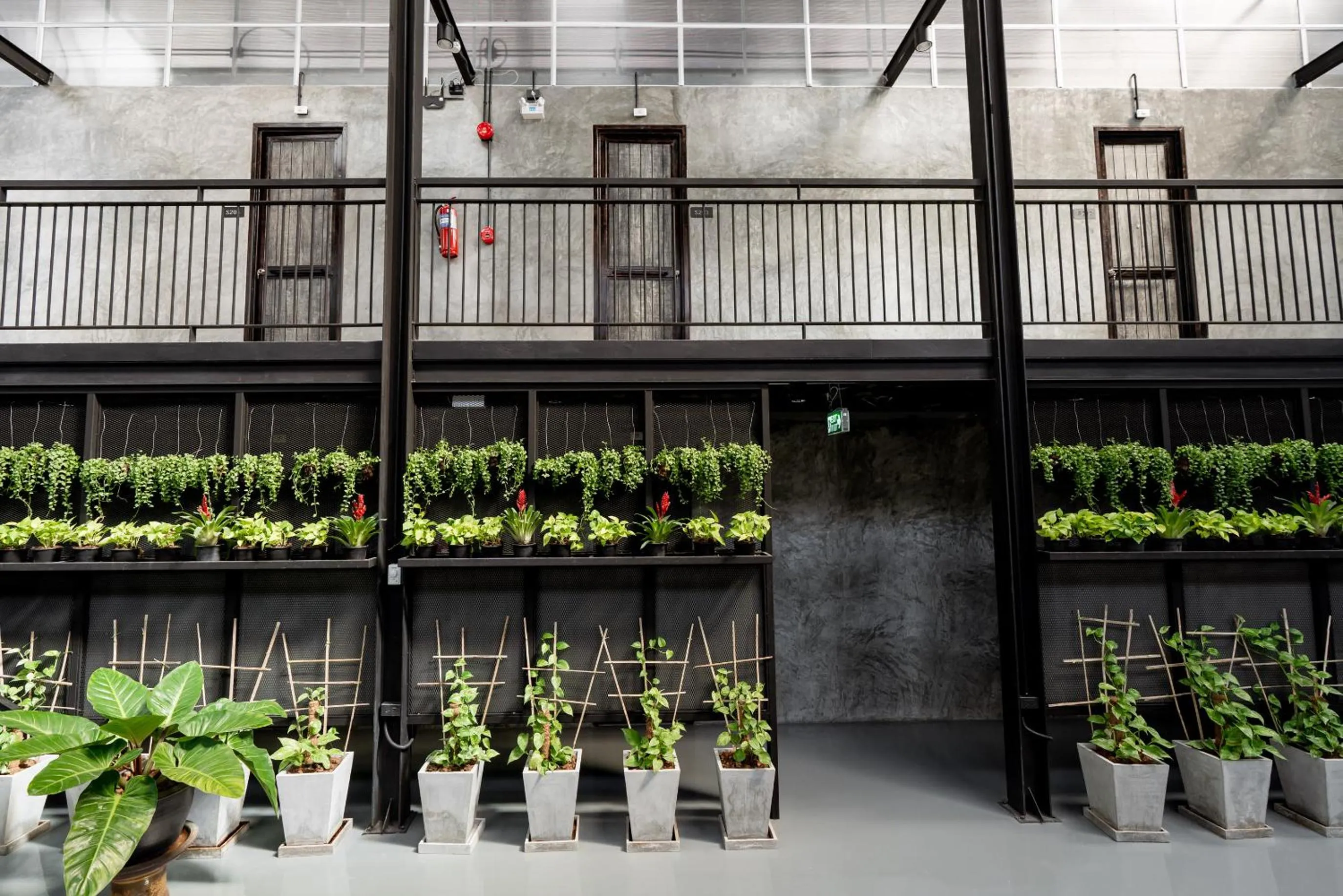 Lobby or reception in Premier Hostel Chiang Mai