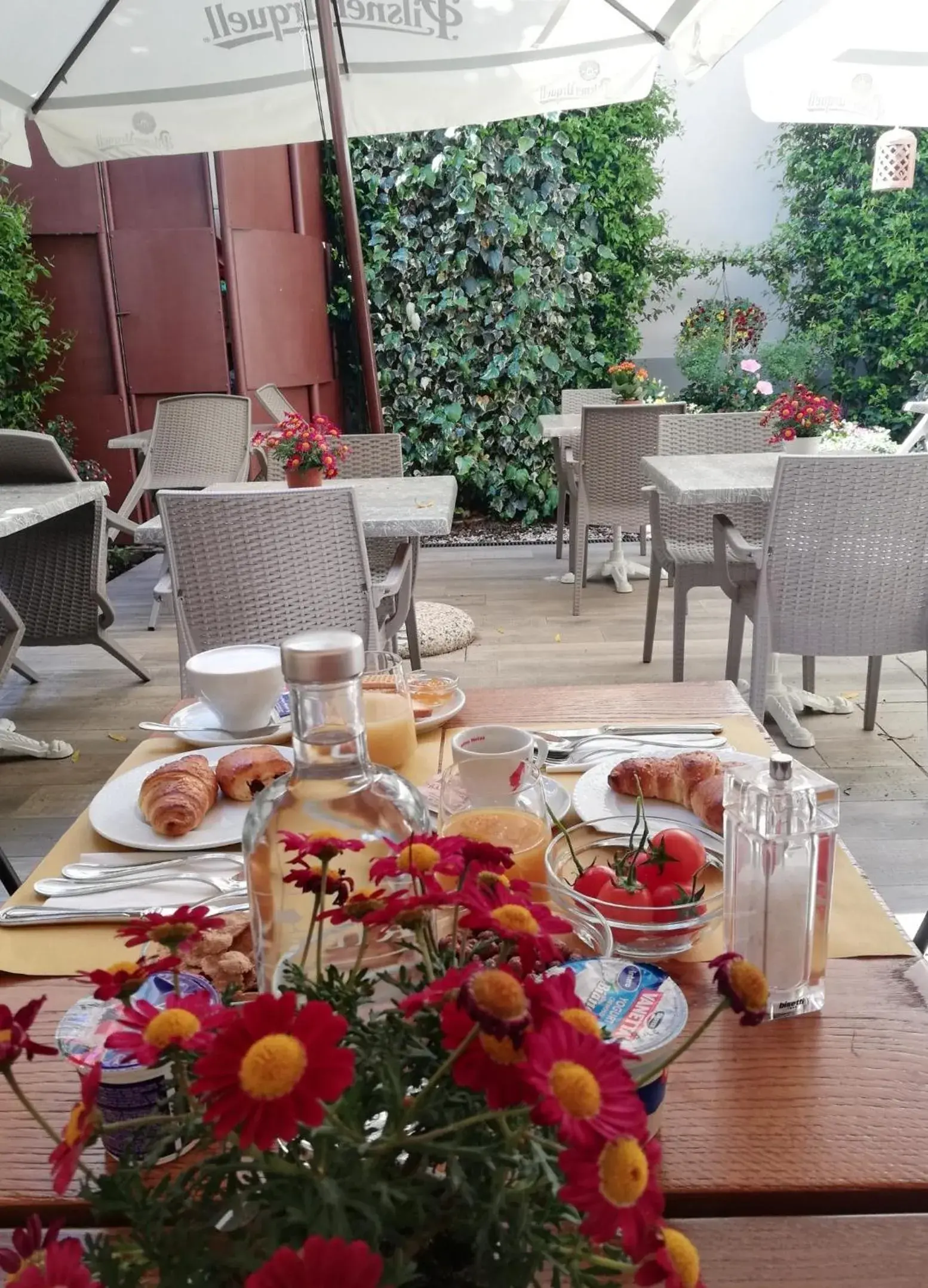 Restaurant/places to eat in Hotel Cimabue Restaurant/places to eat in Hotel Cimabue