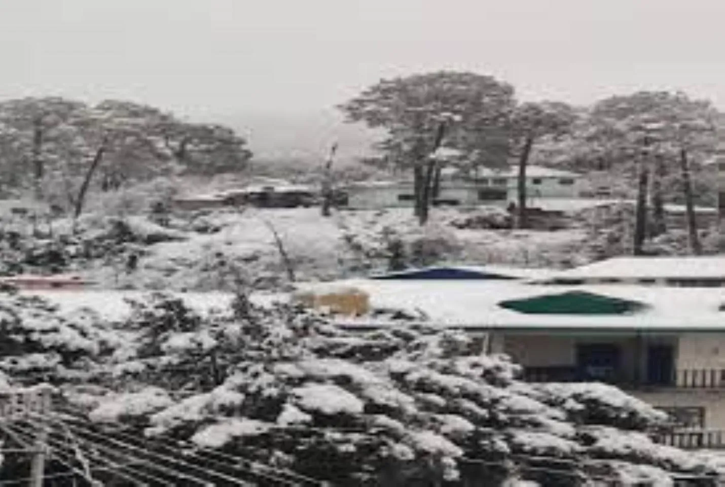 Property building in Oak wood Homestay Banikhet