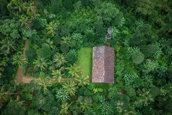 View (from property/room) in amã Stays & Trails - The Old Cattleshed, Wayanad