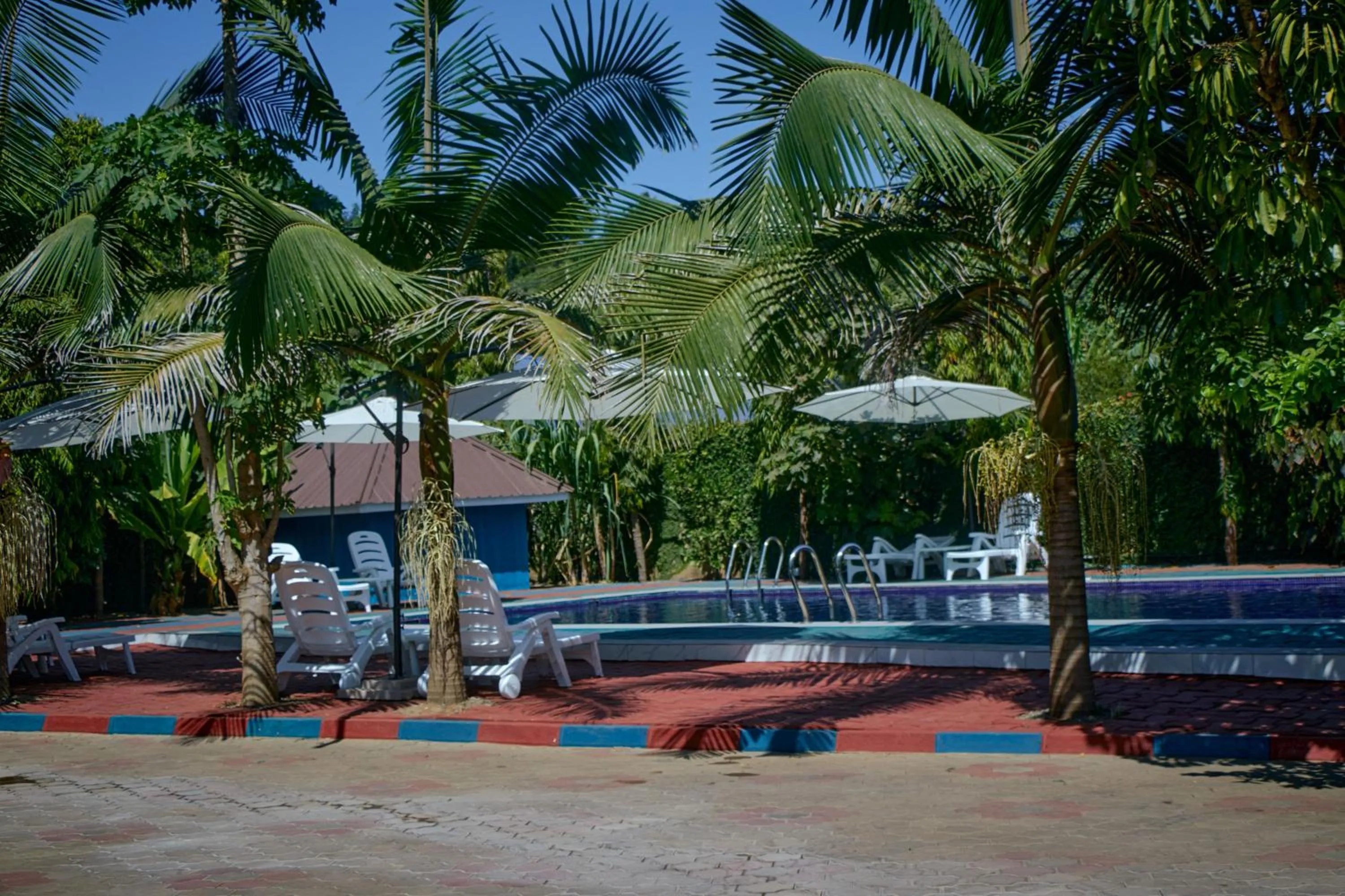 Pool view in Elanacha Hotel