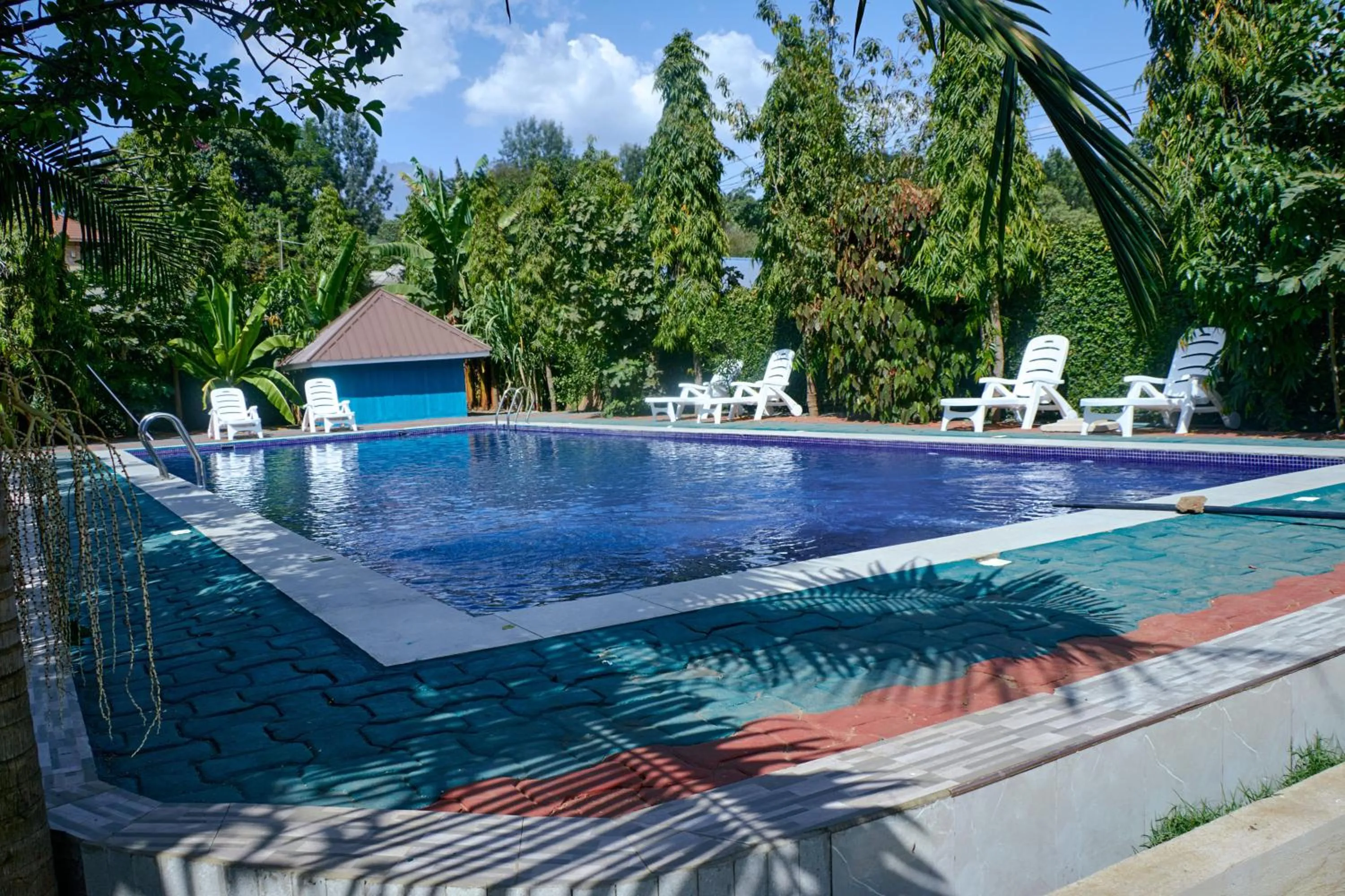 Garden in Elanacha Hotel