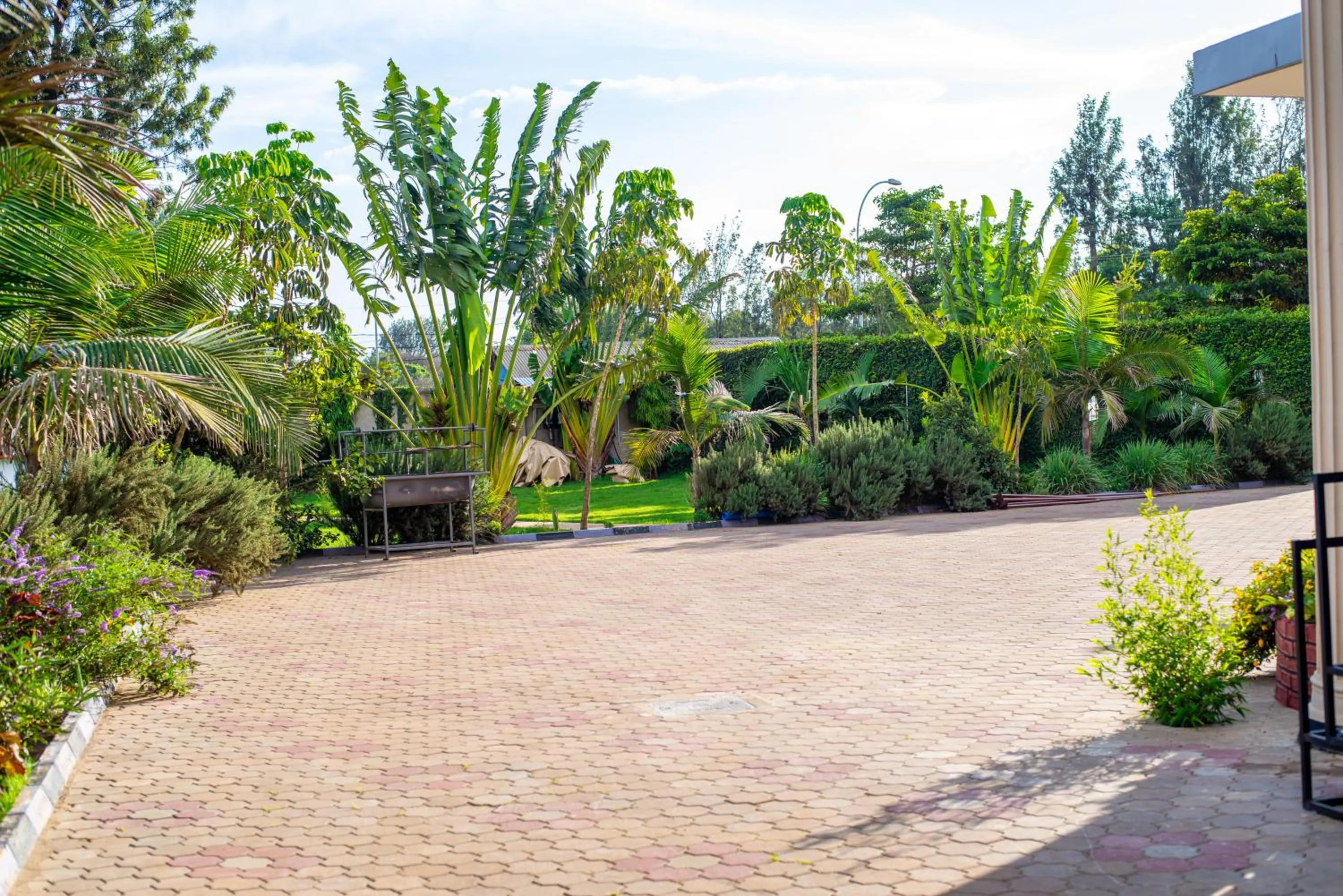 Garden in Elanacha Hotel