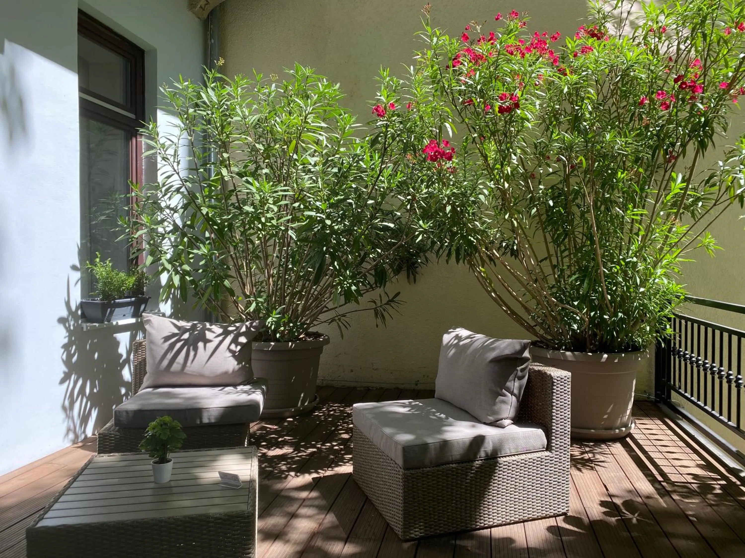 Patio in Váralja Home