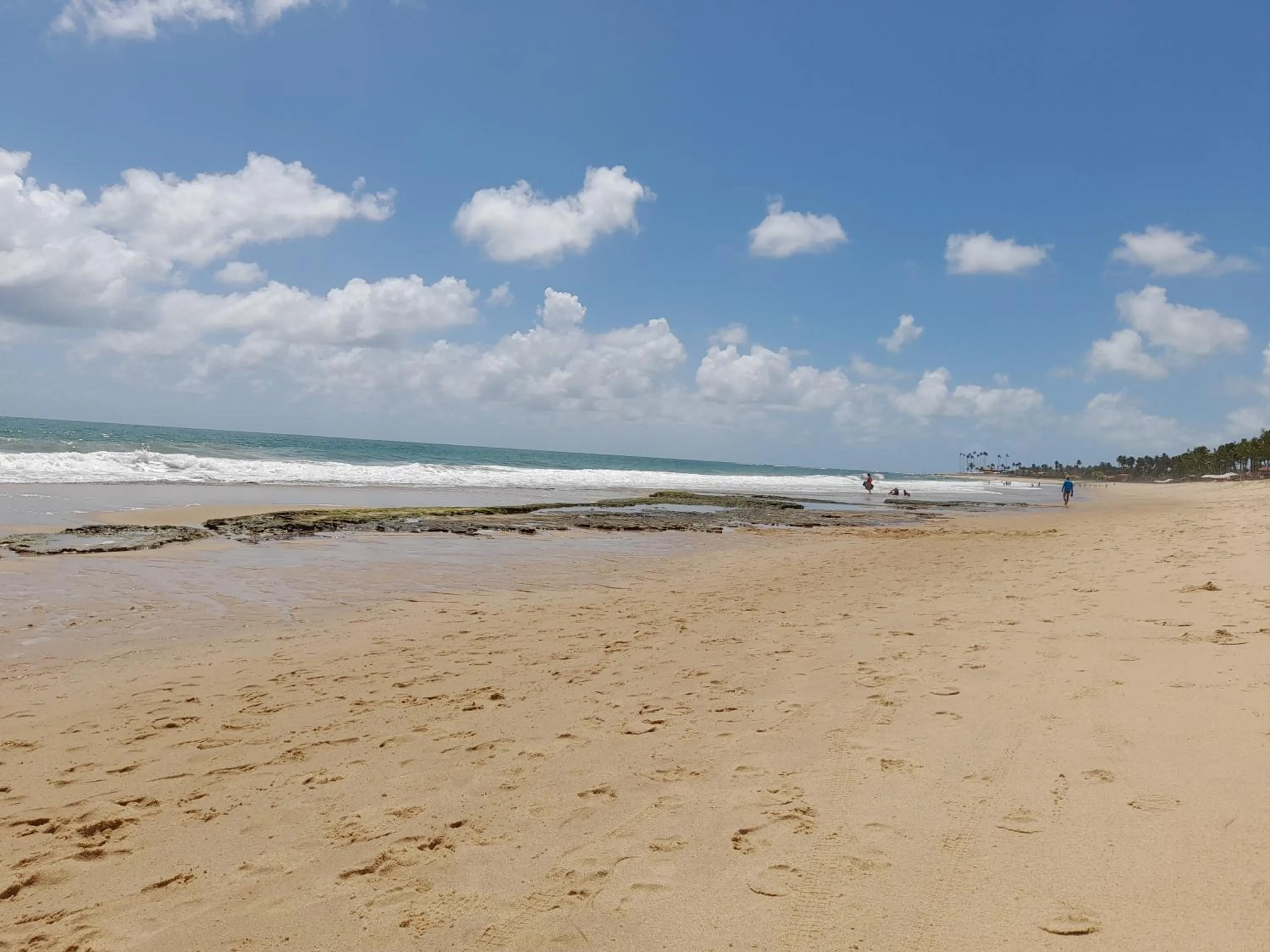 Beach in Aconchegante Flat em condomínio na beira mar de Muro Alto - Malawi Beach Resort