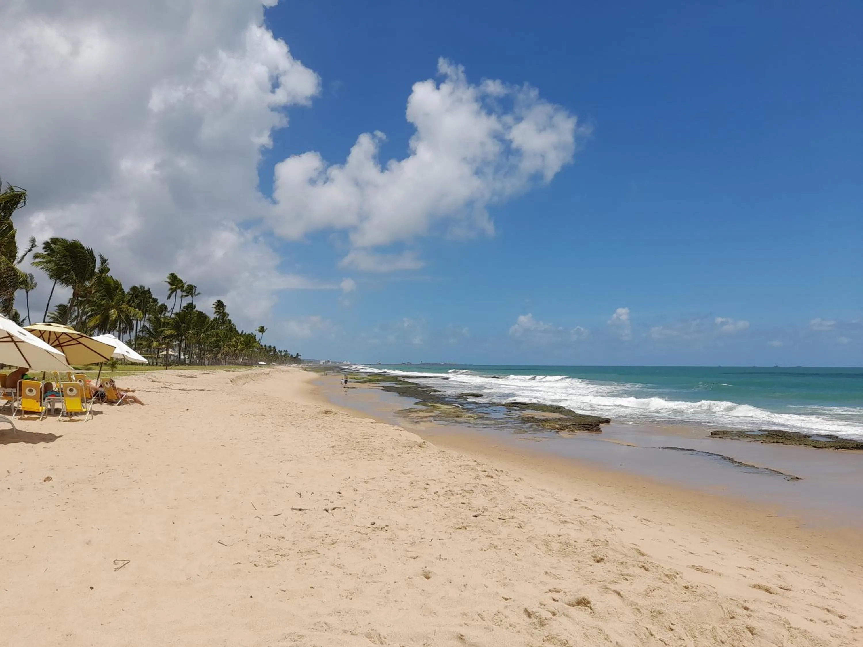 Beach in Aconchegante Flat em condomínio na beira mar de Muro Alto - Malawi Beach Resort