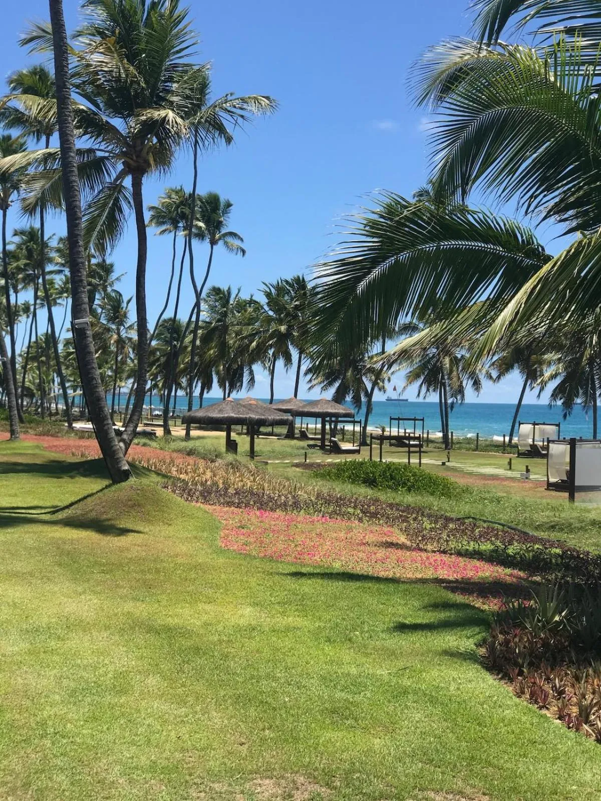 Garden in Aconchegante Flat em condomínio na beira mar de Muro Alto - Malawi Beach Resort