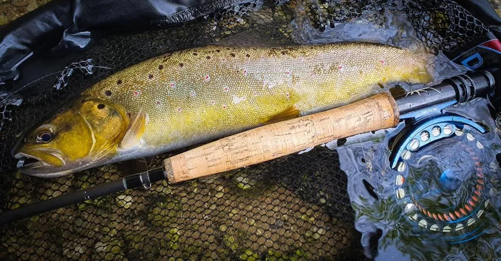 Fishing in Krka River Lodge