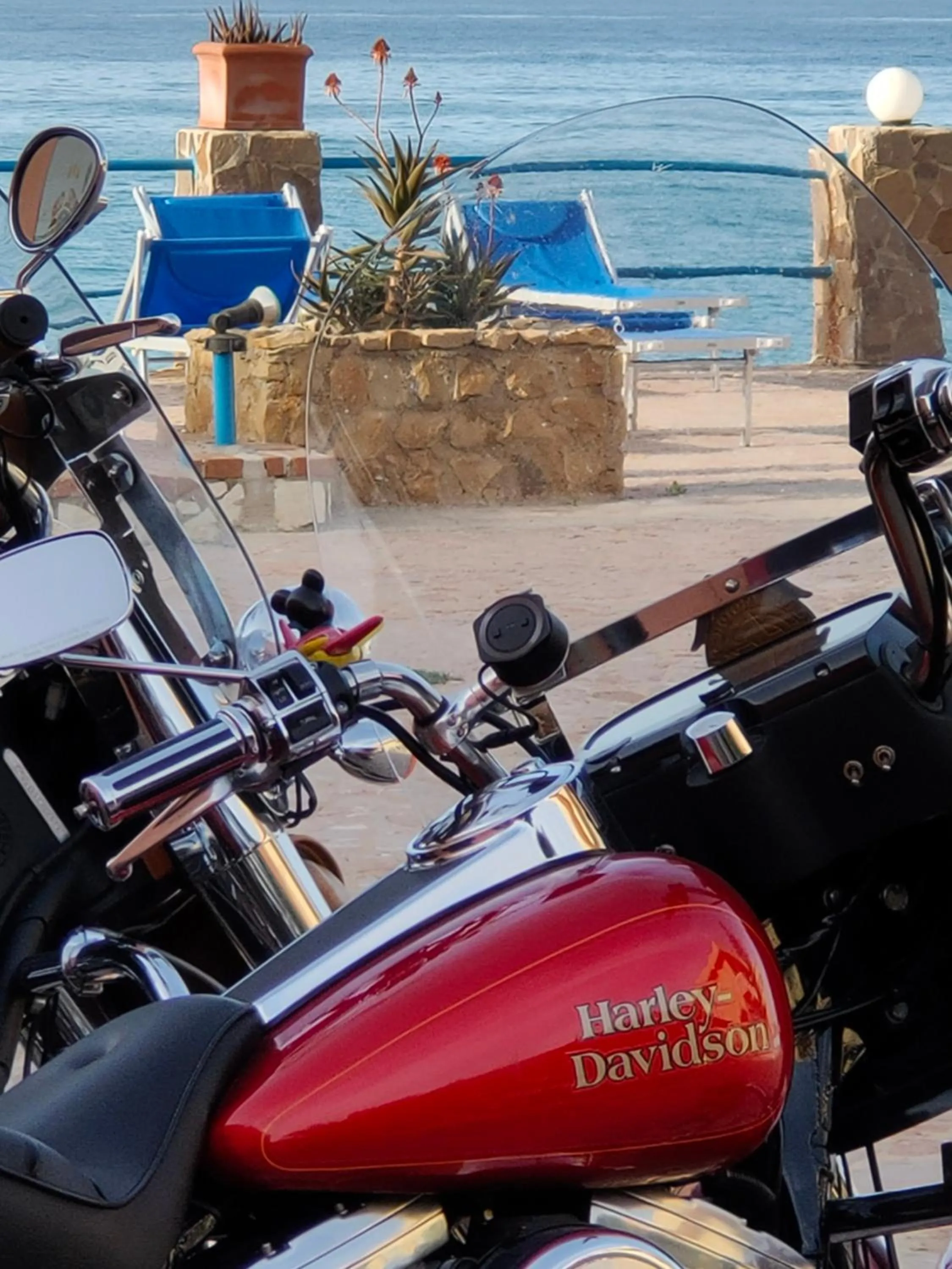 Restaurant/places to eat in Hotel La Playa Blanca