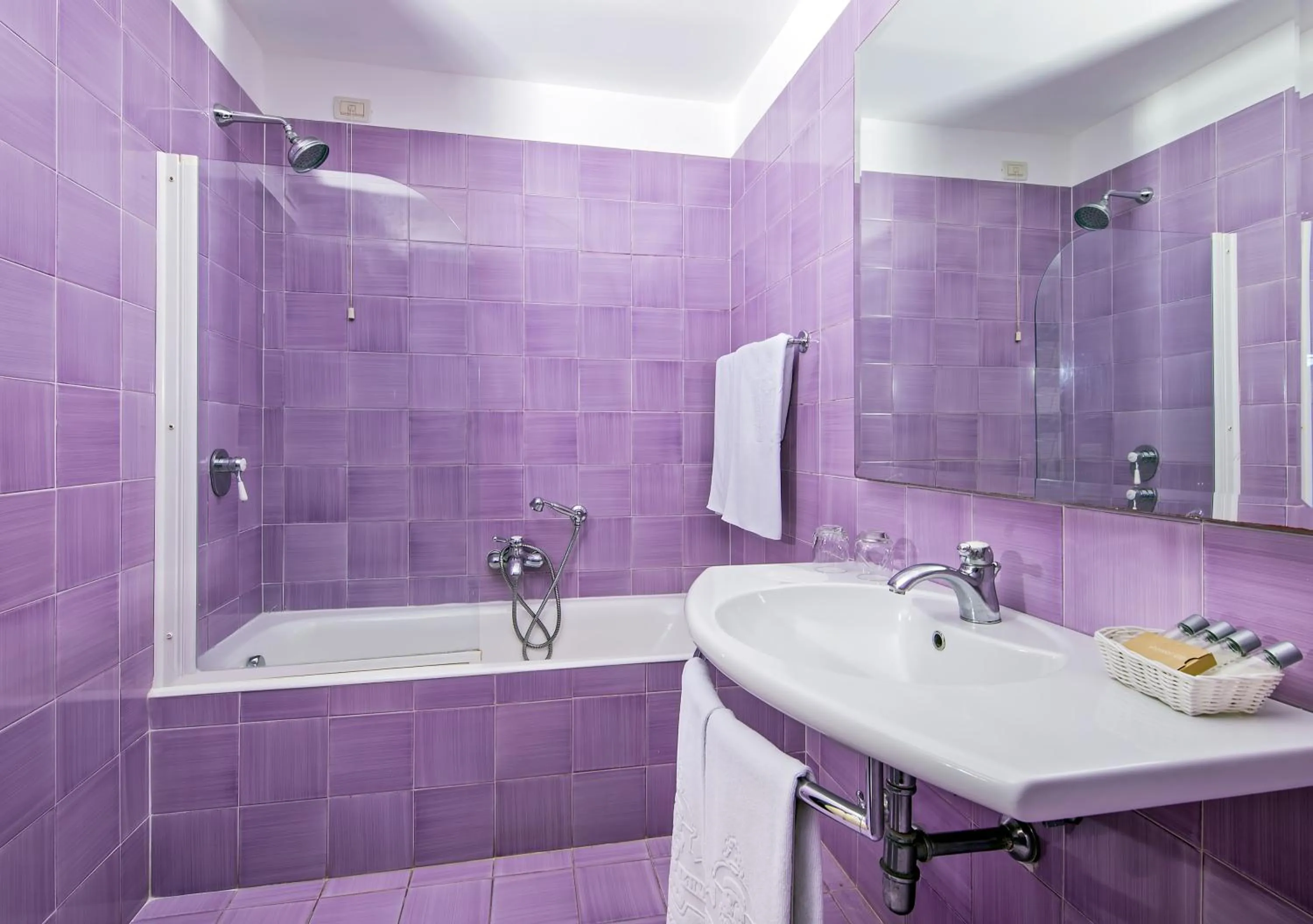 Bathroom in Hotel Minerva