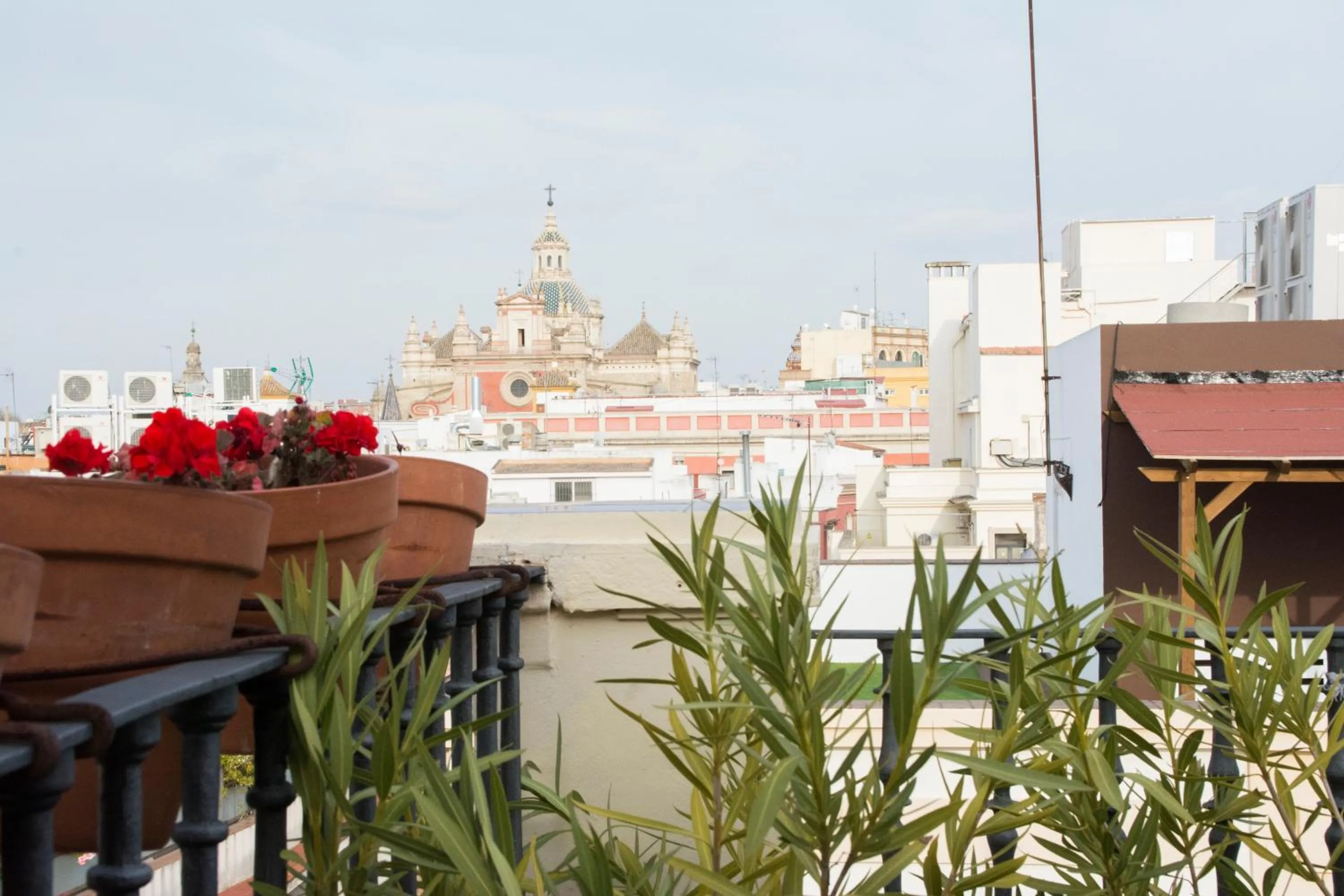 City view in Hotel Plaza