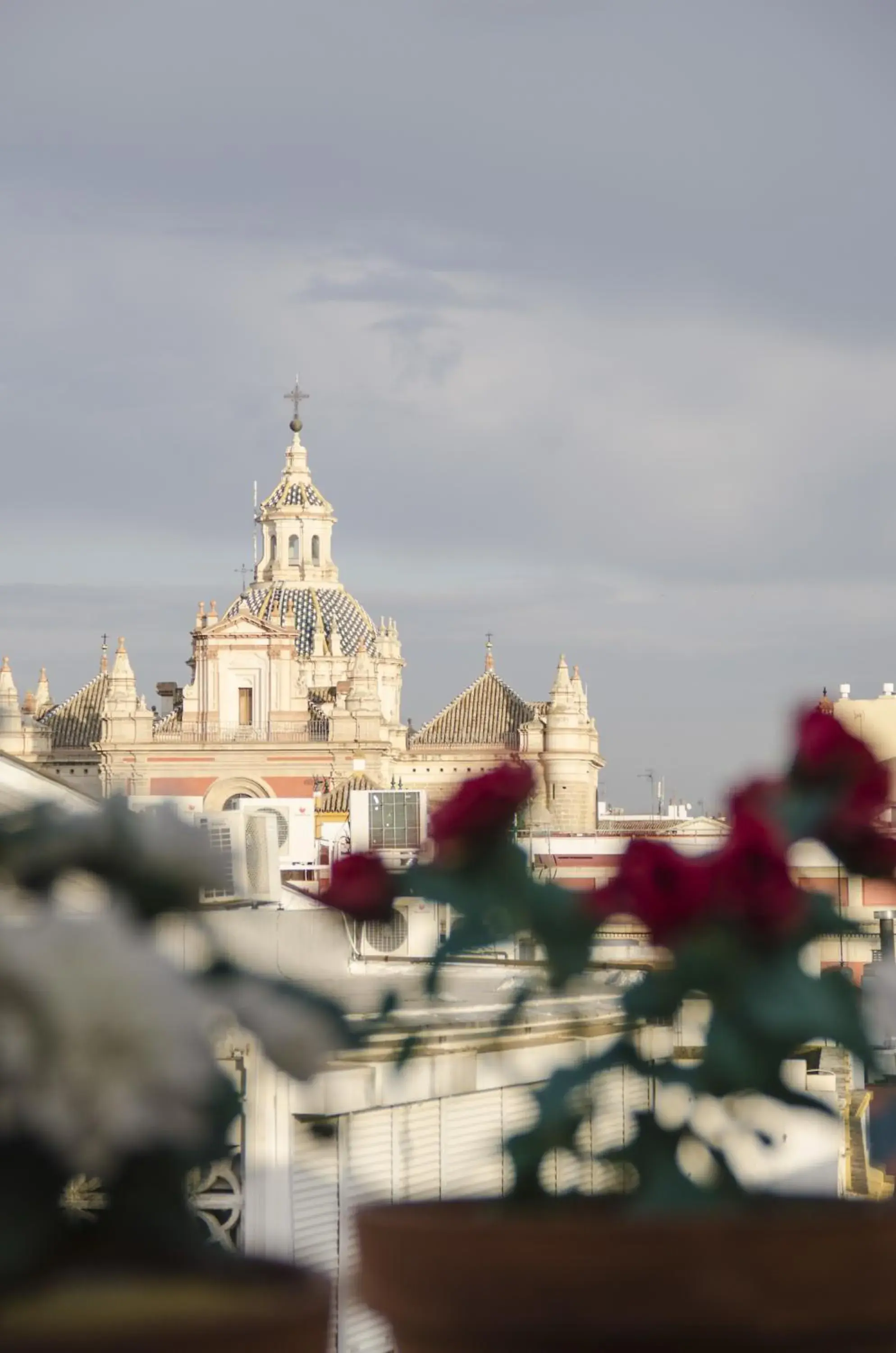 View (from property/room) in Hotel Plaza View (from property/room) in Hotel Plaza