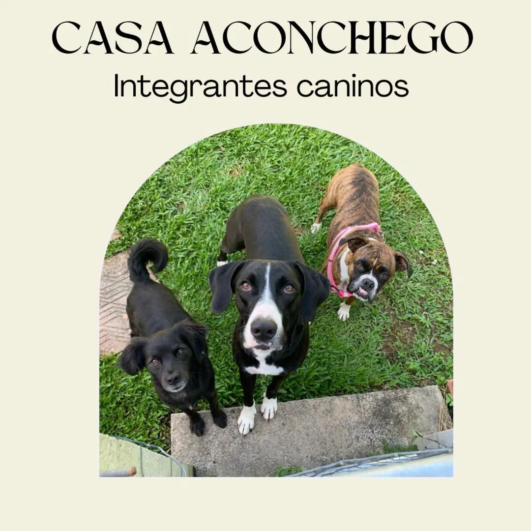 Quarto Aconchego 345 ao lado Alles Park