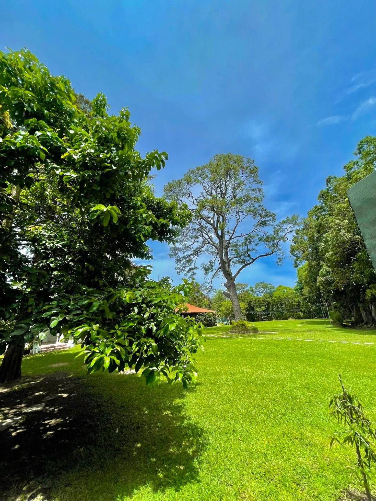 View (from property/room) in Hotel Finca San Nicolas