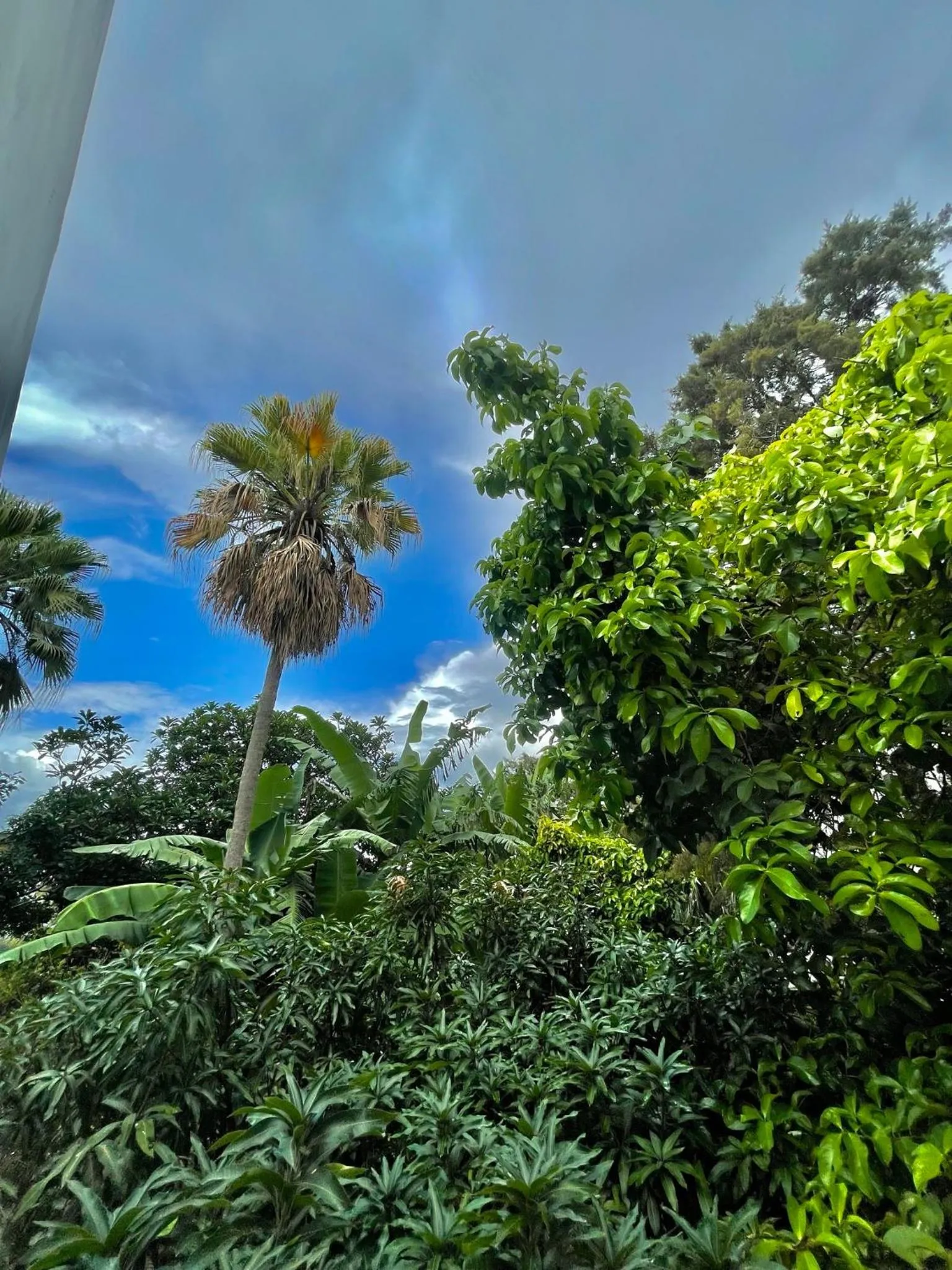 View (from property/room) in Hotel Finca San Nicolas