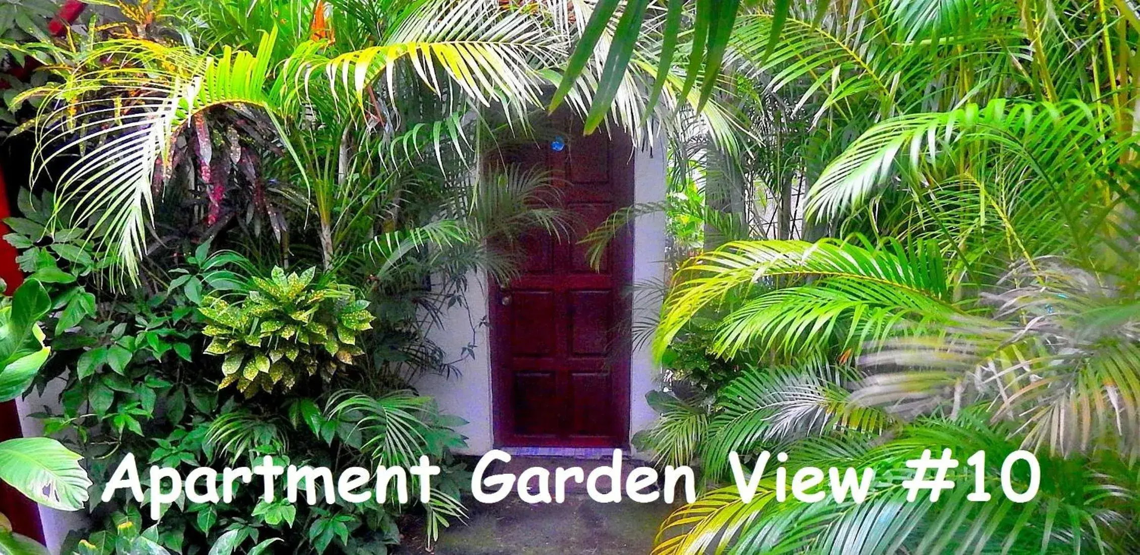 Apartment with Garden View in Rositas Hotel Apartment with Garden View in Rositas Hotel