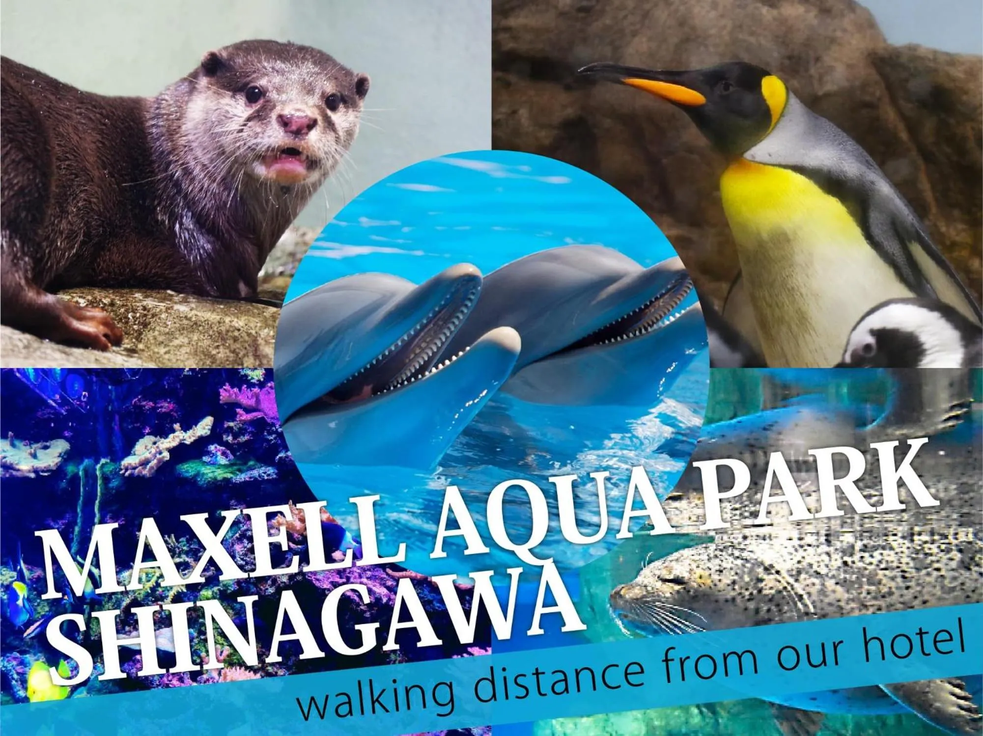 Nearby landmark in Hotel BaliBali ANNEX 五反田