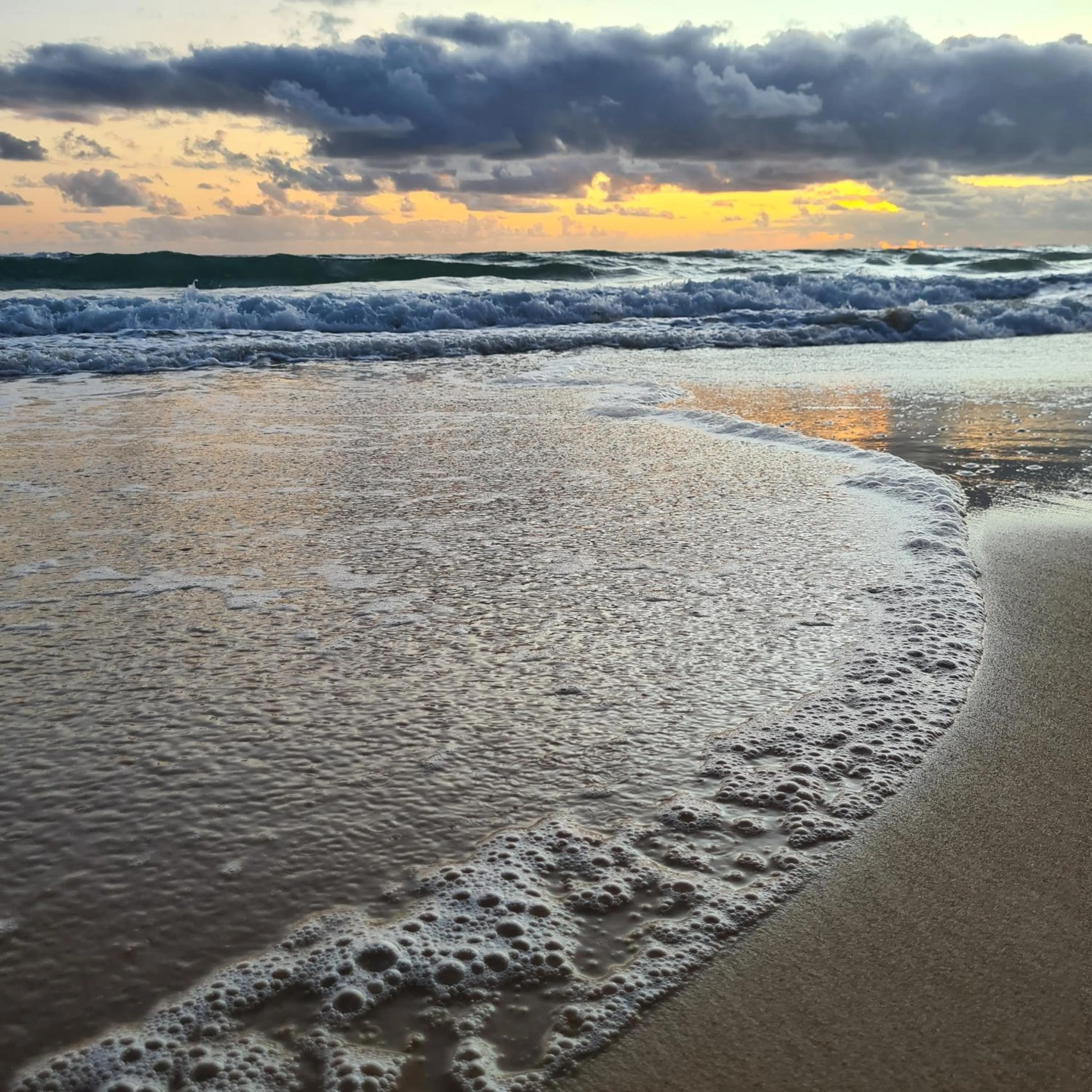 Natural landscape in Hotel Beira Mar