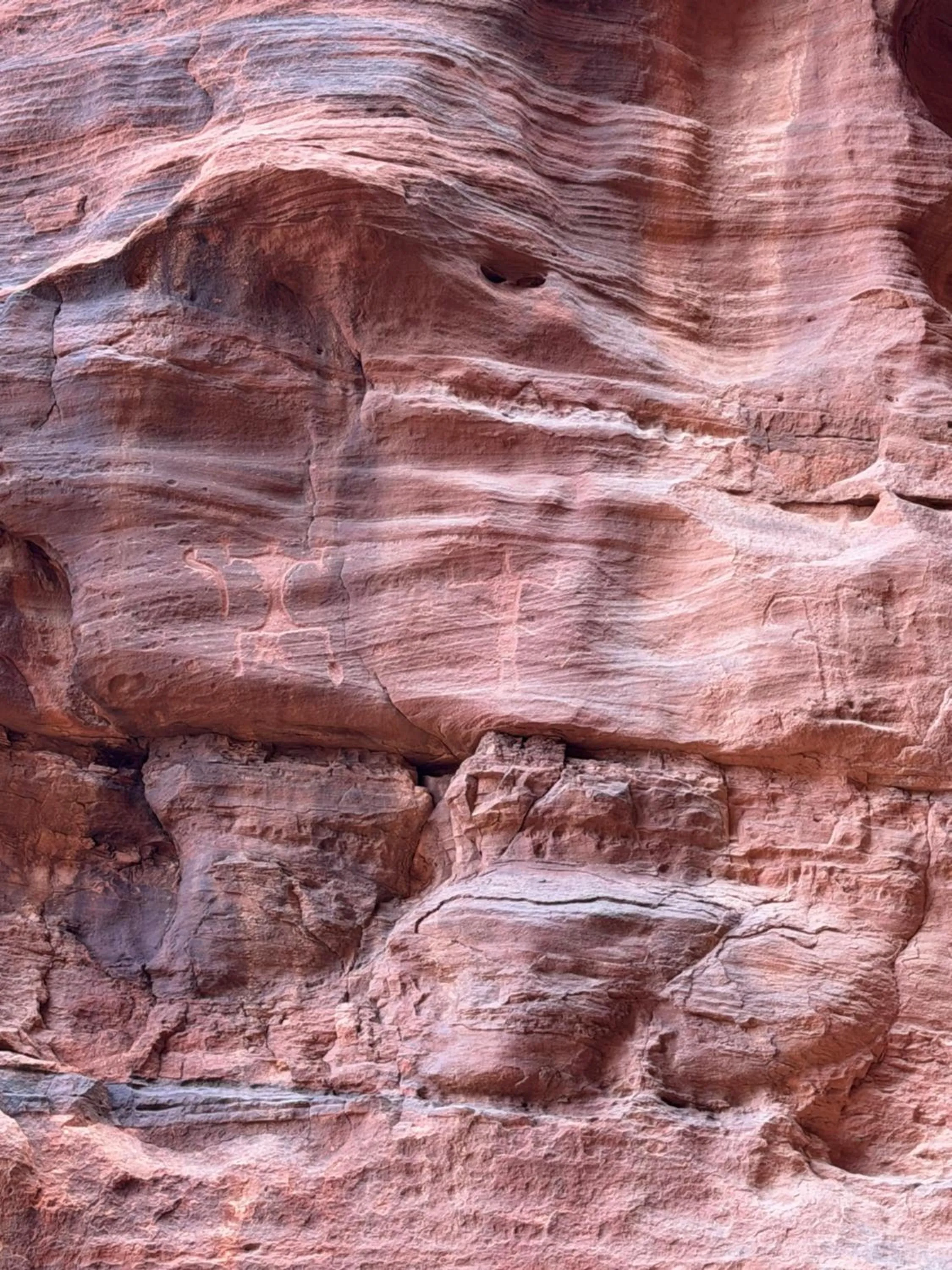 Wadi Rum White Mountain Camp