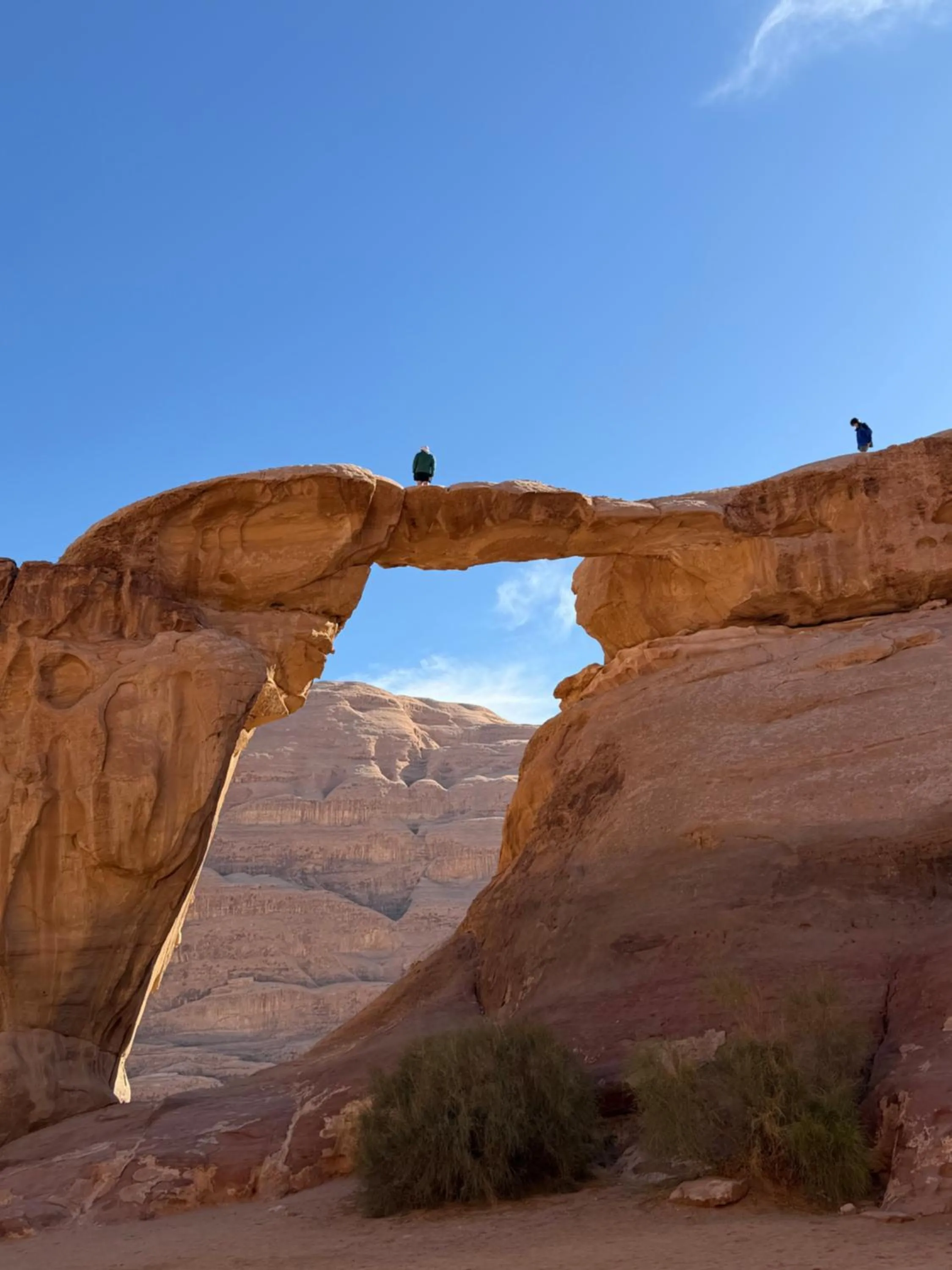 Wadi Rum White Mountain Camp