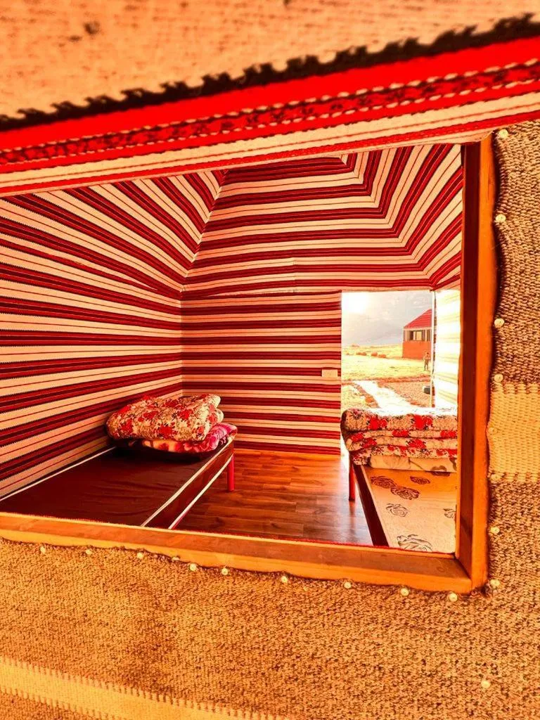 Photo of the whole room in Wadi Rum White Mountain Camp