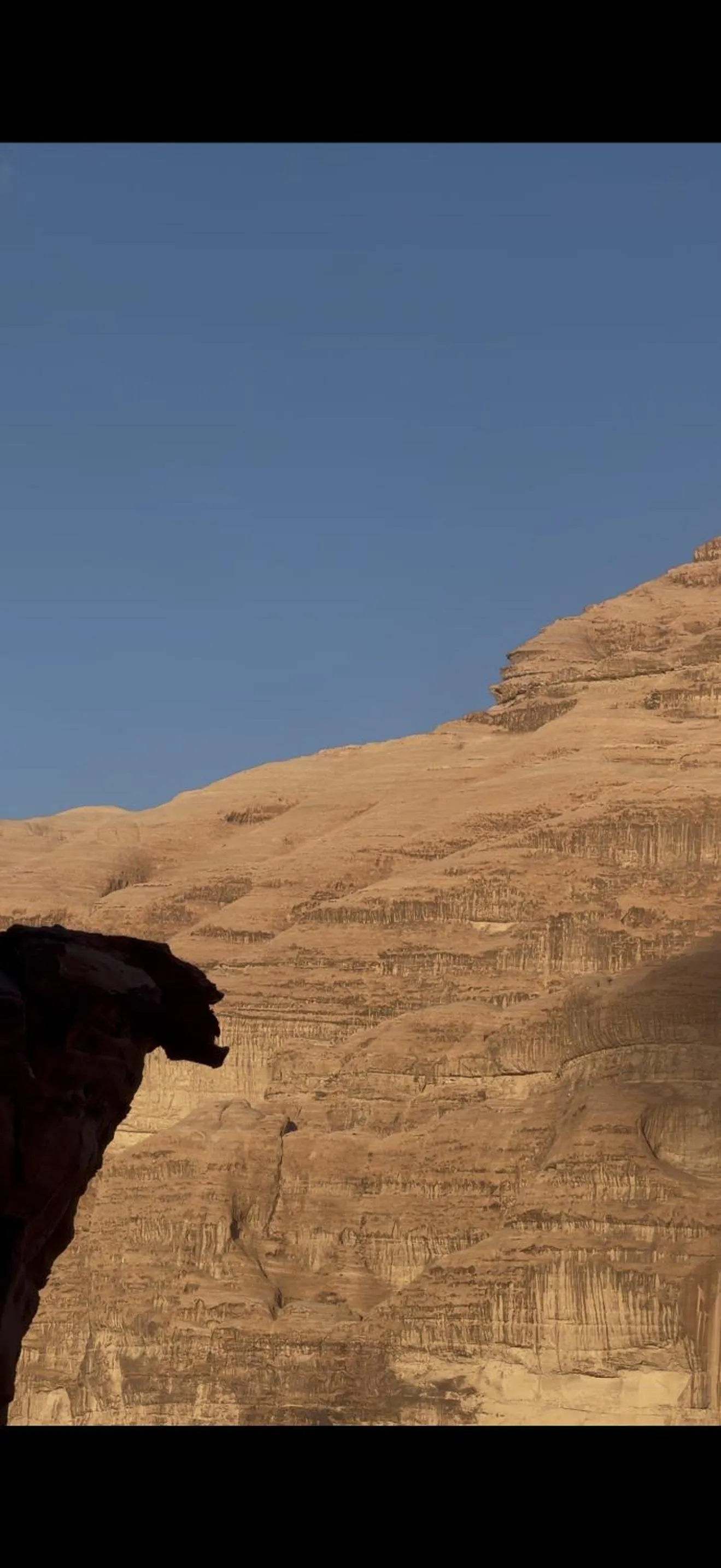 Wadi Rum White Mountain Camp