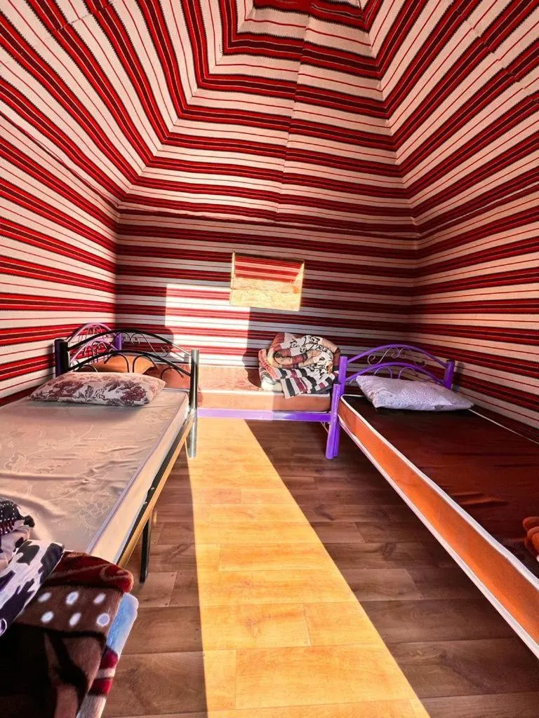 Photo of the whole room in Wadi Rum White Mountain Camp
