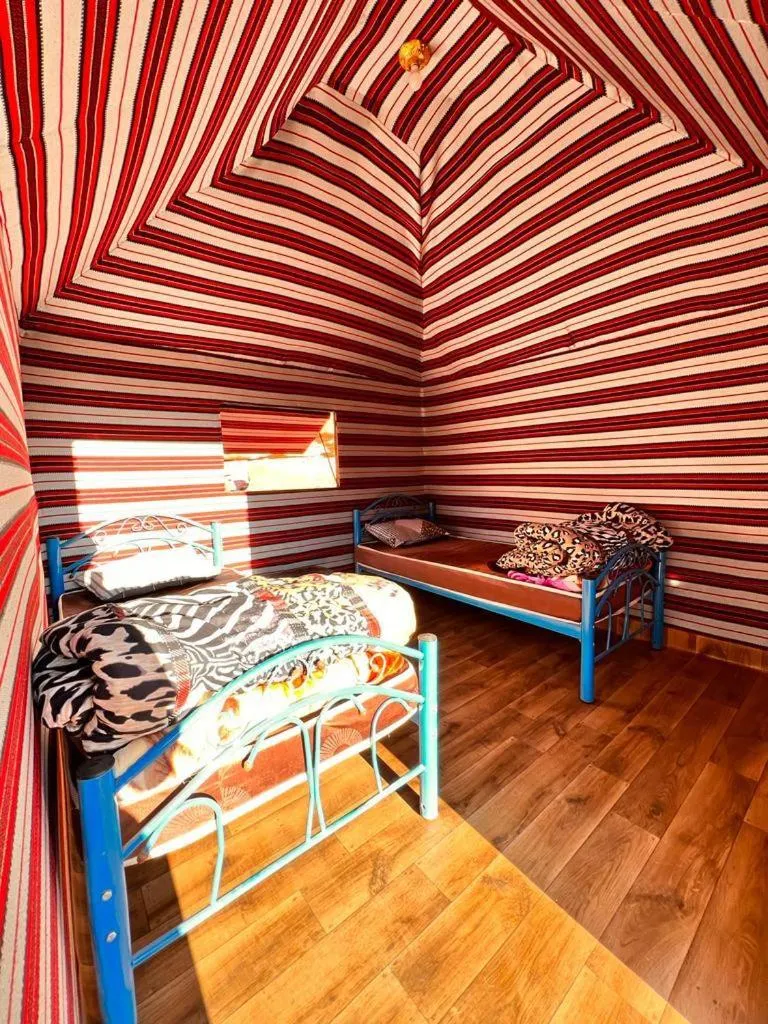 Photo of the whole room in Wadi Rum White Mountain Camp