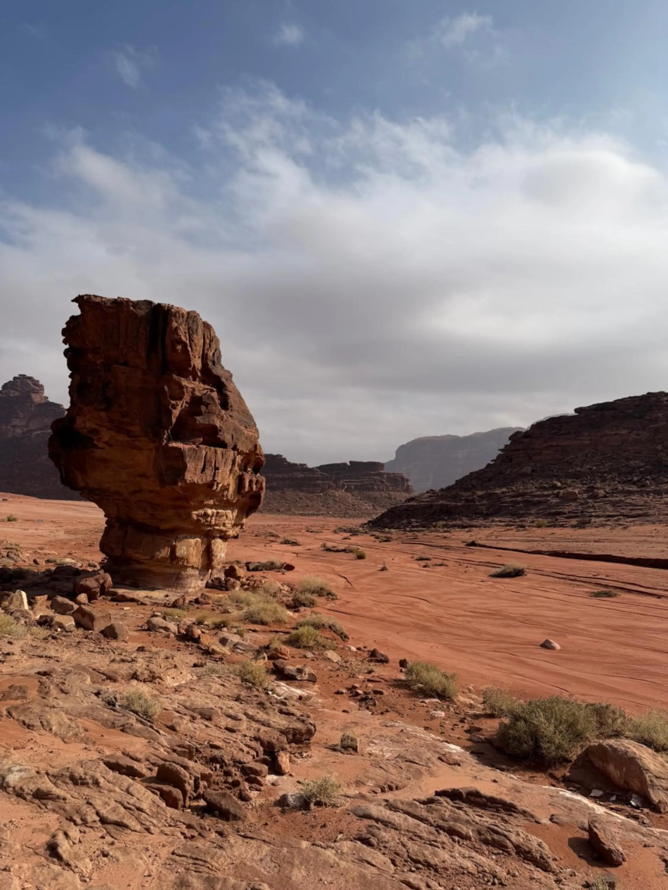 Wadi Rum White Mountain Camp