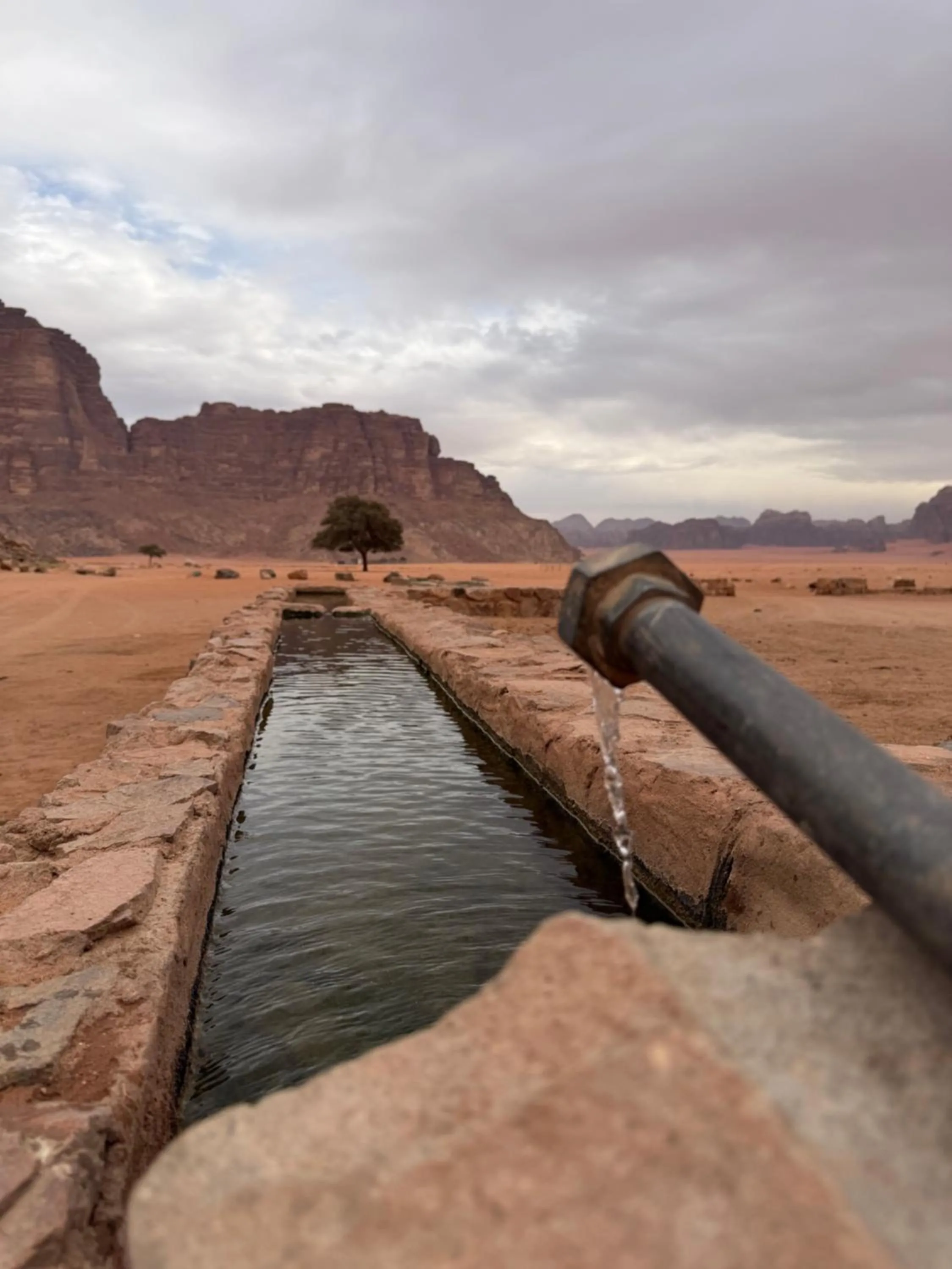 Wadi Rum White Mountain Camp