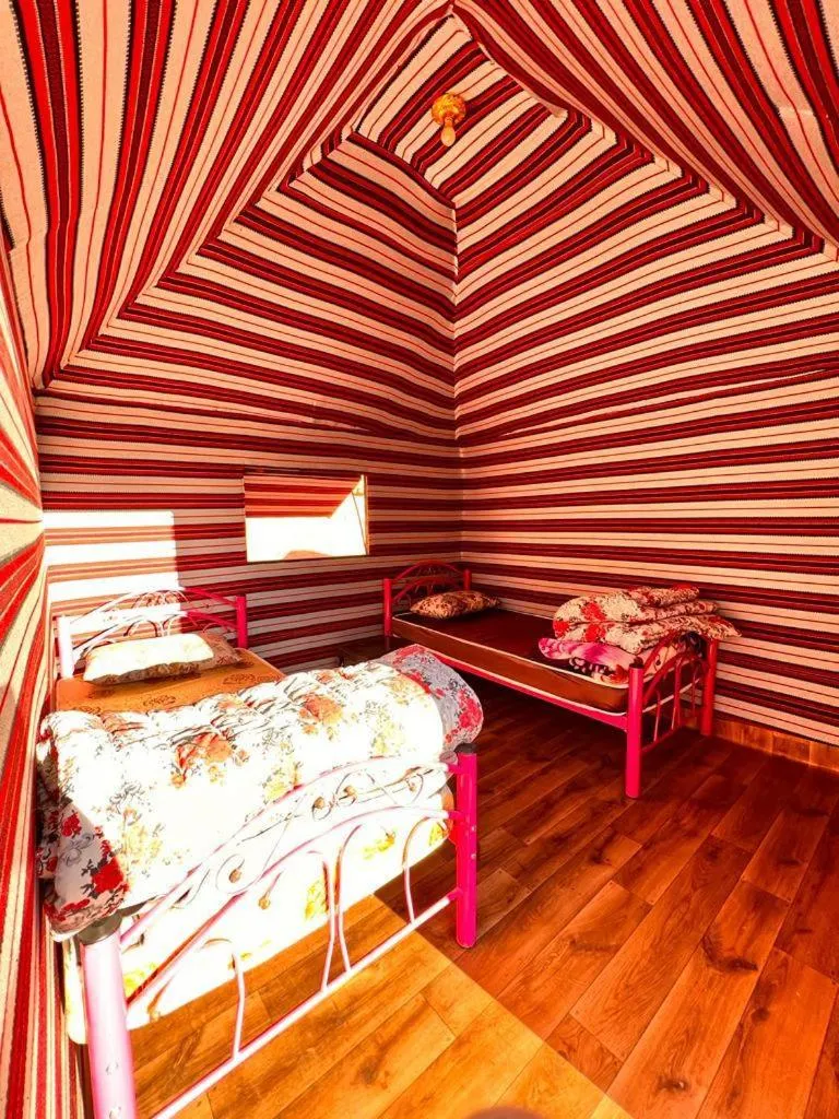 Photo of the whole room, Bed in Wadi Rum White Mountain Camp